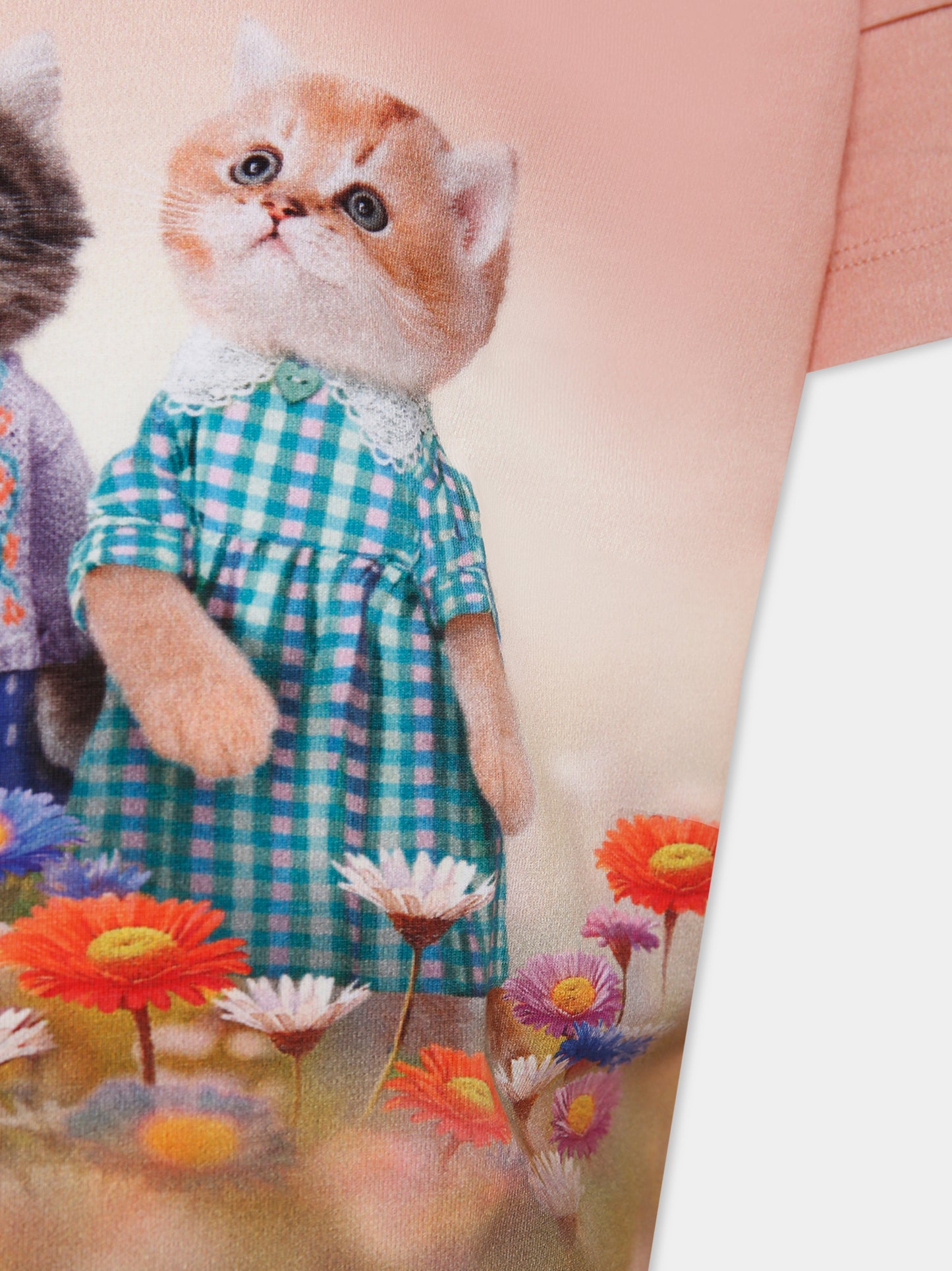 T-shirt Raeesa rosa per bambina con stampa gatti,Molo,2W25A207 9638