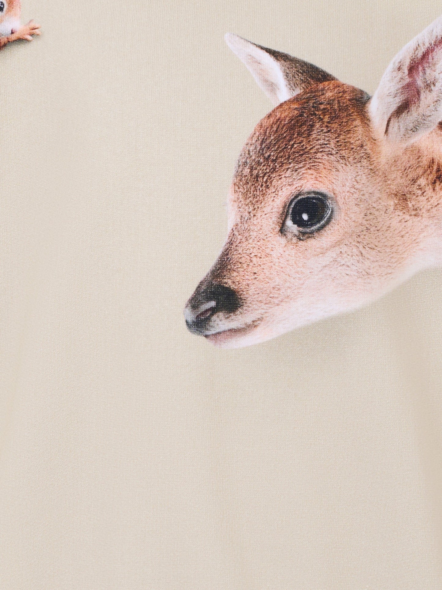 Felpa Maxi beige per bambina con animali della foresta,Molo,2W25J210 9626