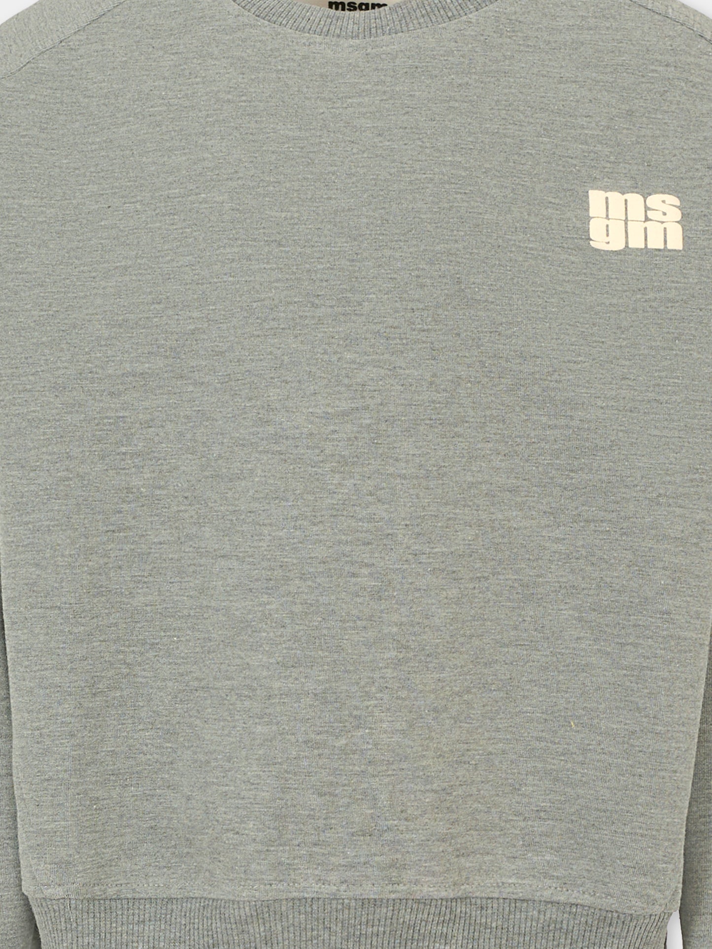Felpa grigia per bambini con logo avorio,Msgm Kids,F5MSJUSW057 104