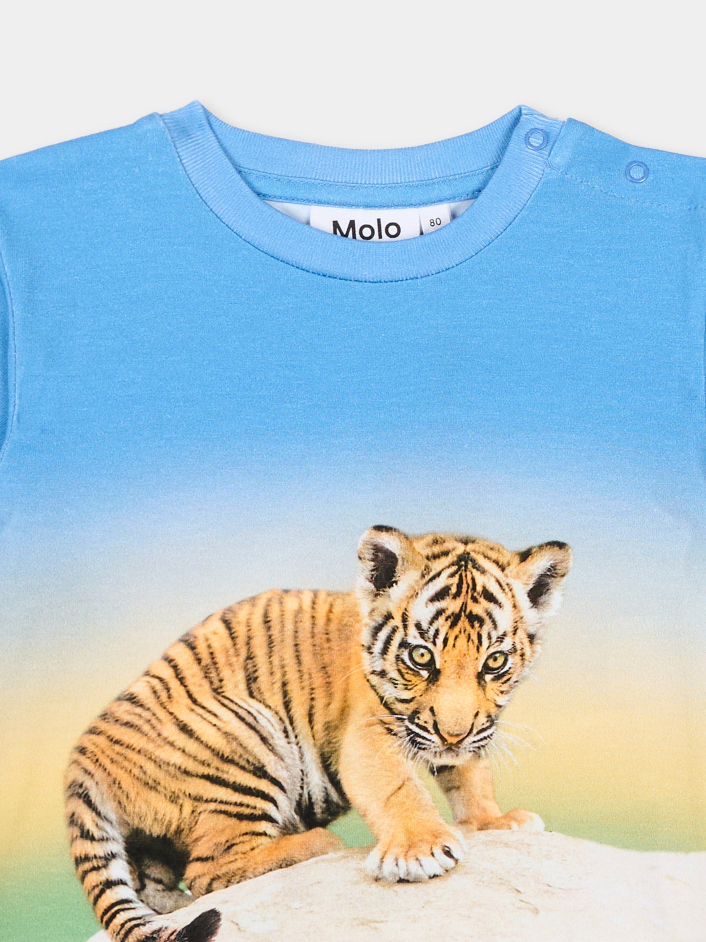 T-Shirt multicolor Enzo per neonati con stampa tigre,Molo,6S26A205 9825