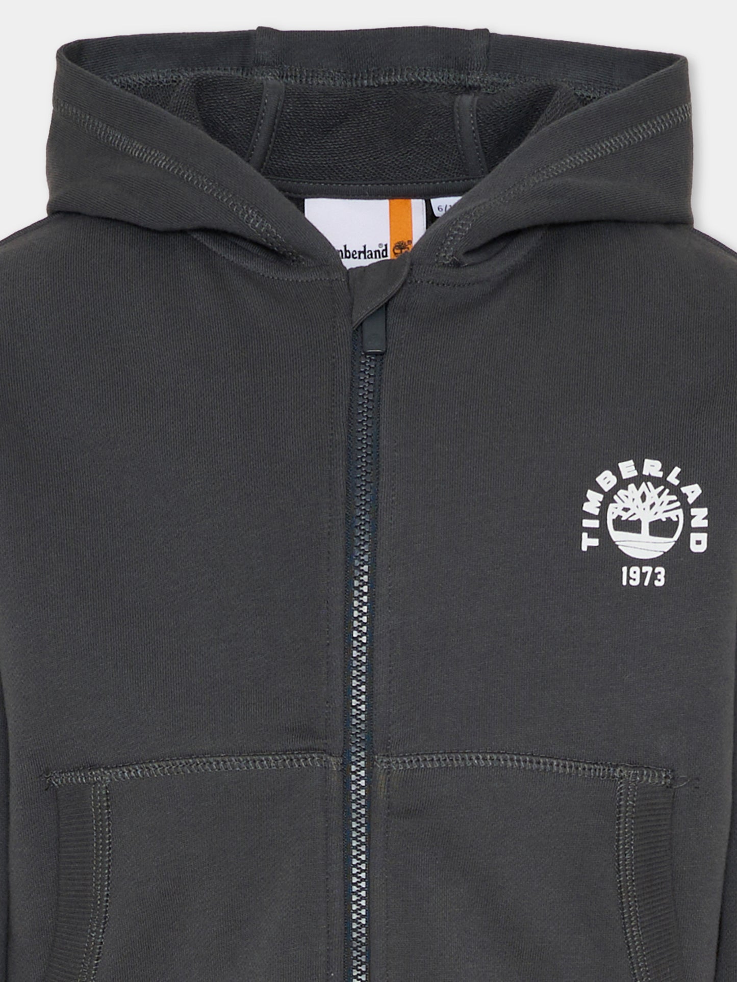 Felpa grigia per bambino con logo,Timberland,T60828 066