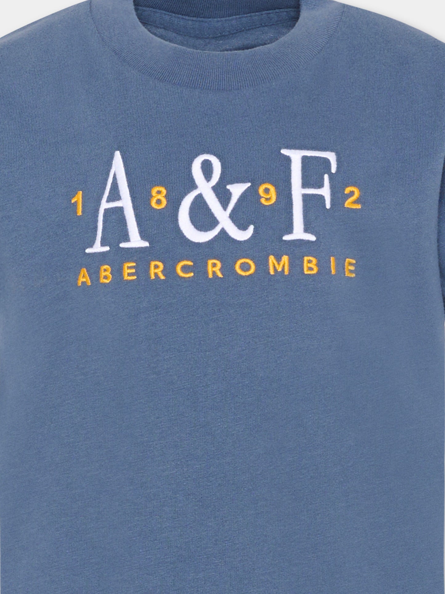 T-Shirt blu per bambini con logo,Abercrombie & Fitch,93AH15 C1E