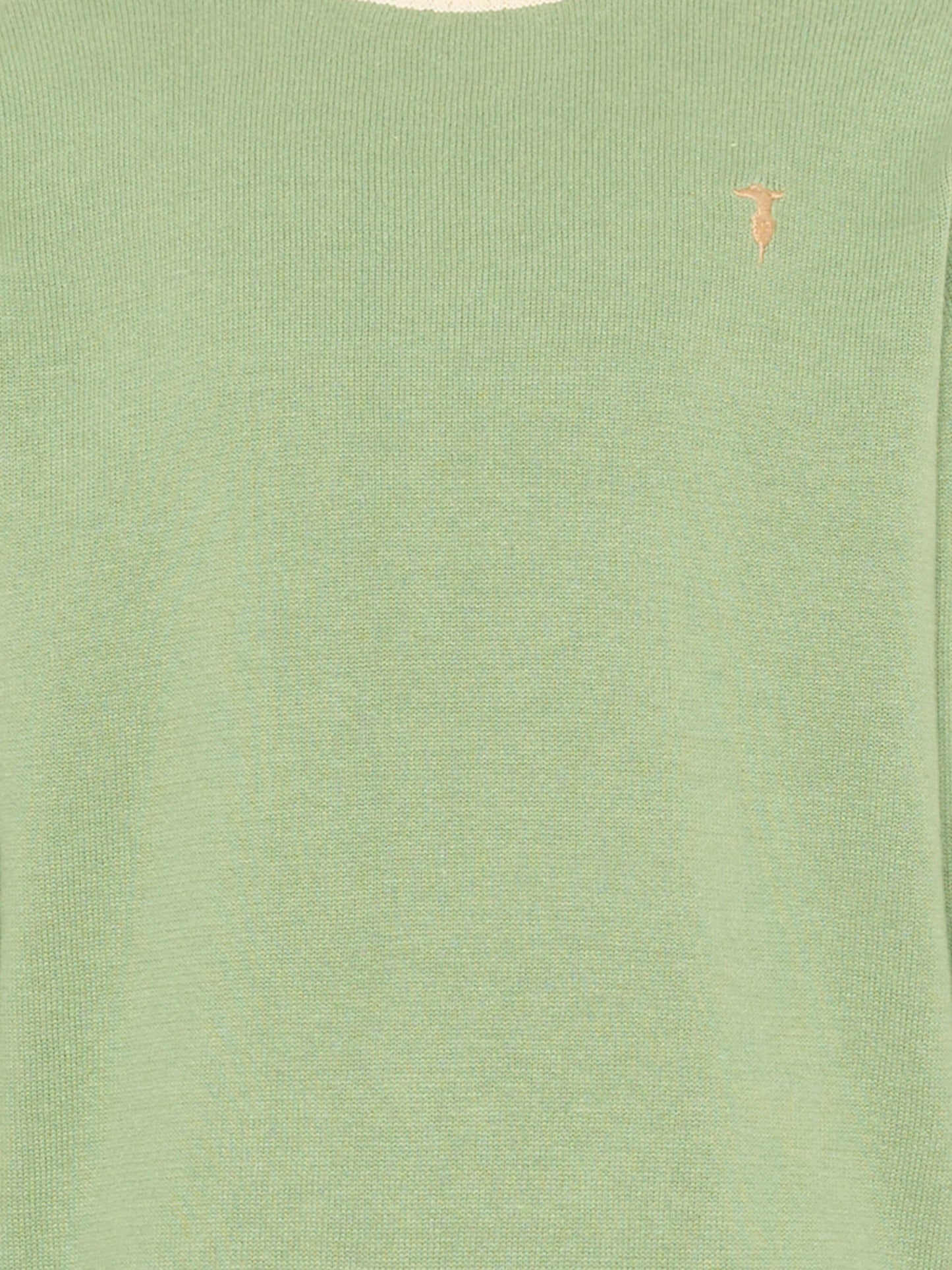 Maglione verde per bambino con levriero,Trussardi Junior,TIP26055MA GREEN BASIL