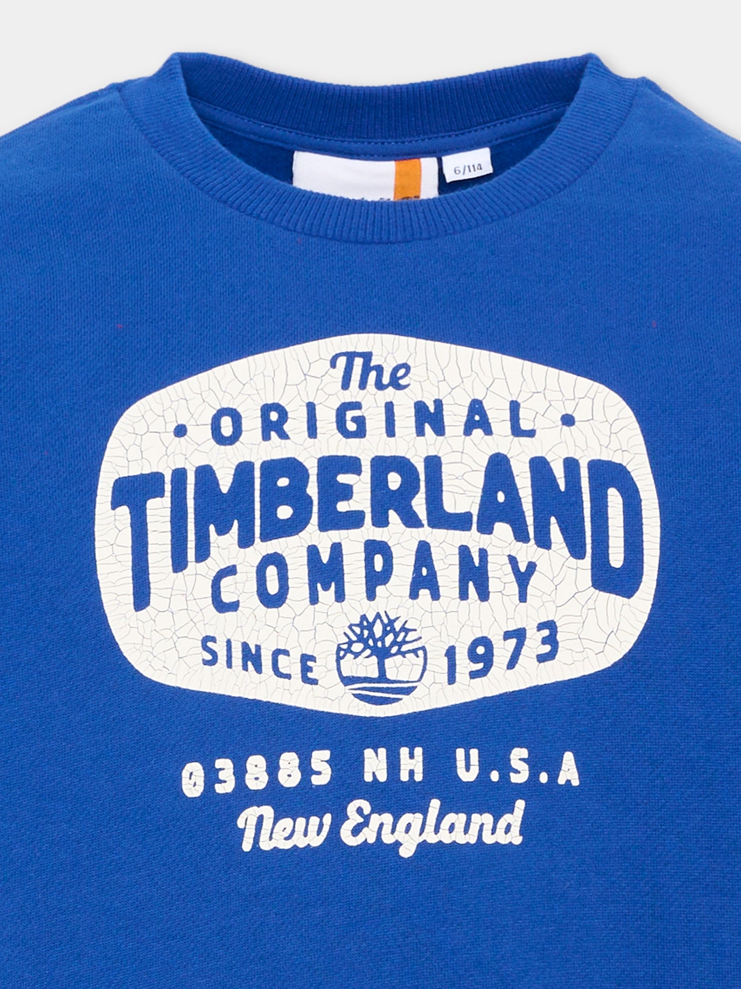 Felpa blu per bambino con stampa,Timberland,T61063 829