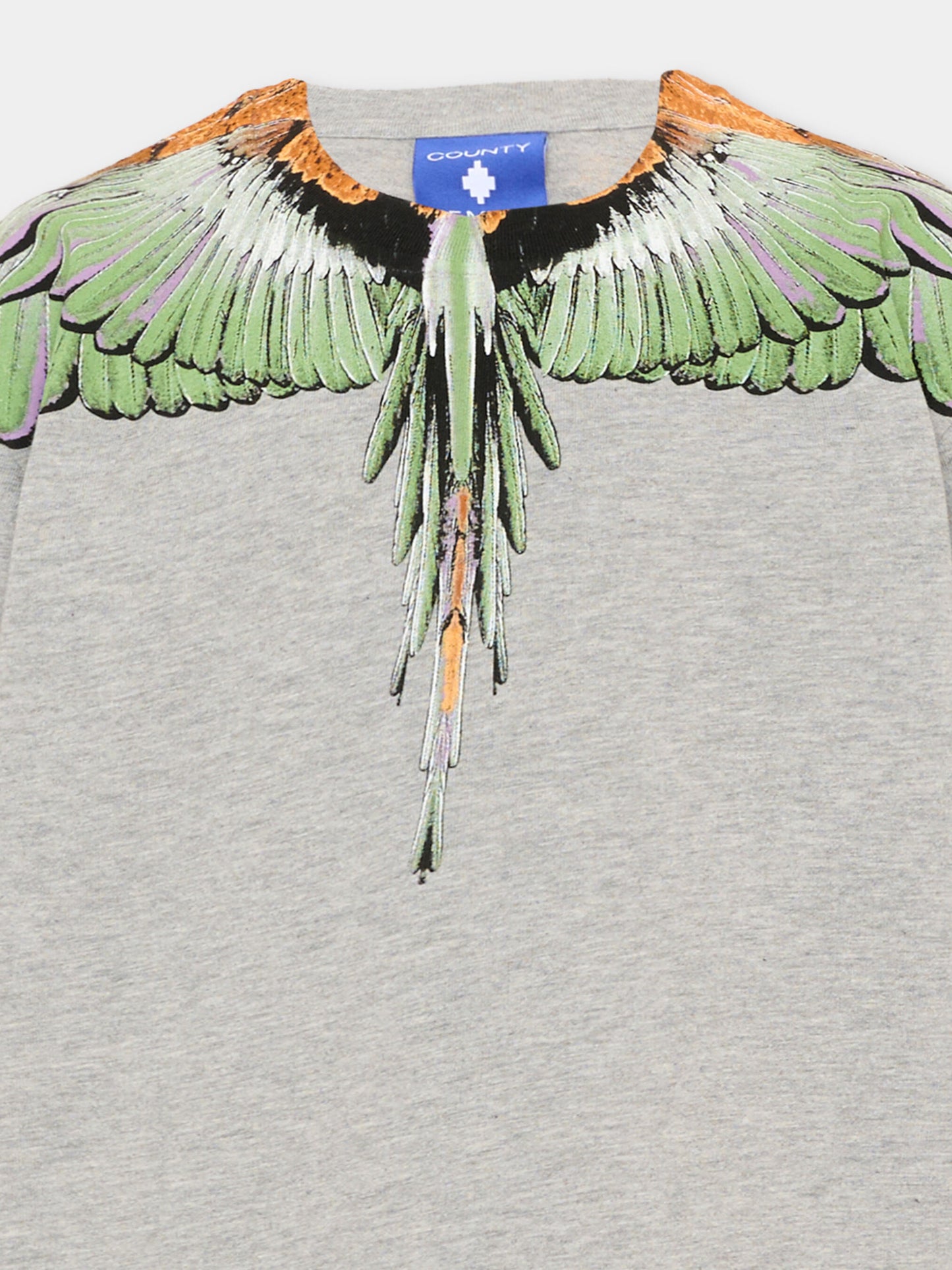 T-Shirt grigia per bambino con ali,County Of Milan Kids,F5CMJBTH063 101