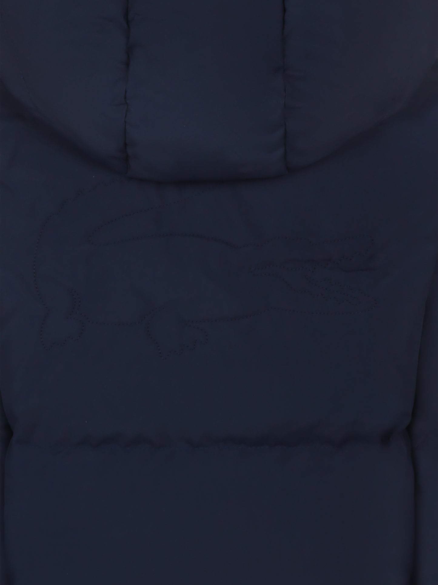 Piumino blu per bambino con coccodrillo,Lacoste,BJ1128 166