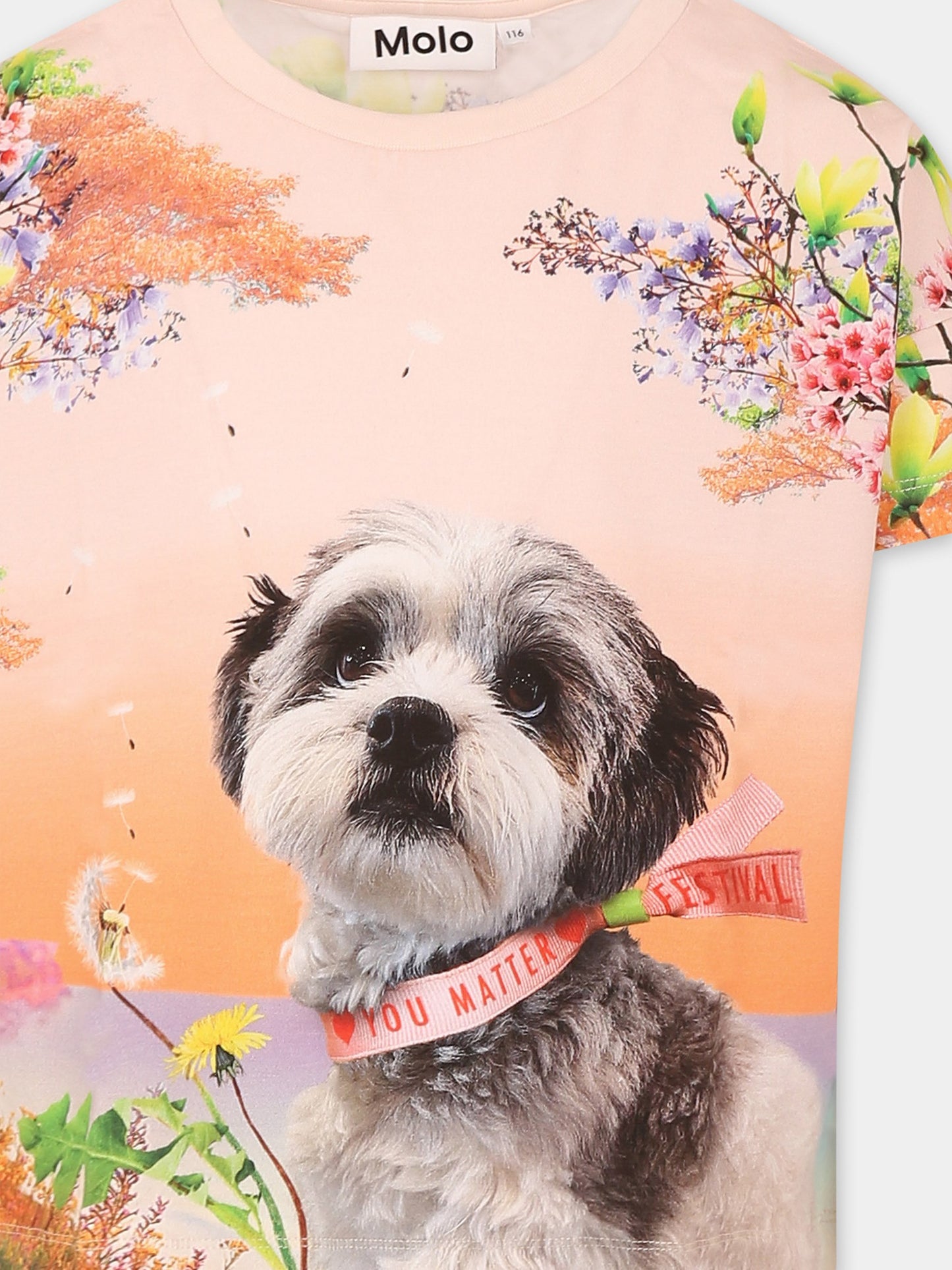 T-shirt Raeesa multicolor per bambina con cane,Molo,2S25A211 3888