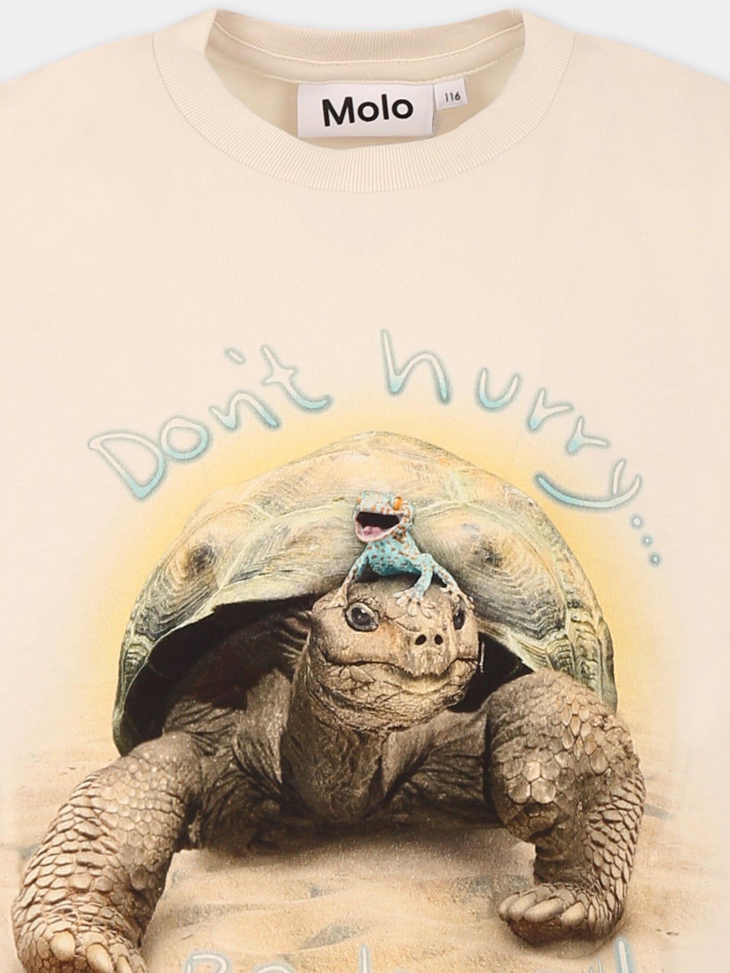 T-shirt Rame avorio per bambino con tartaruga,Molo,1S25A224 3939