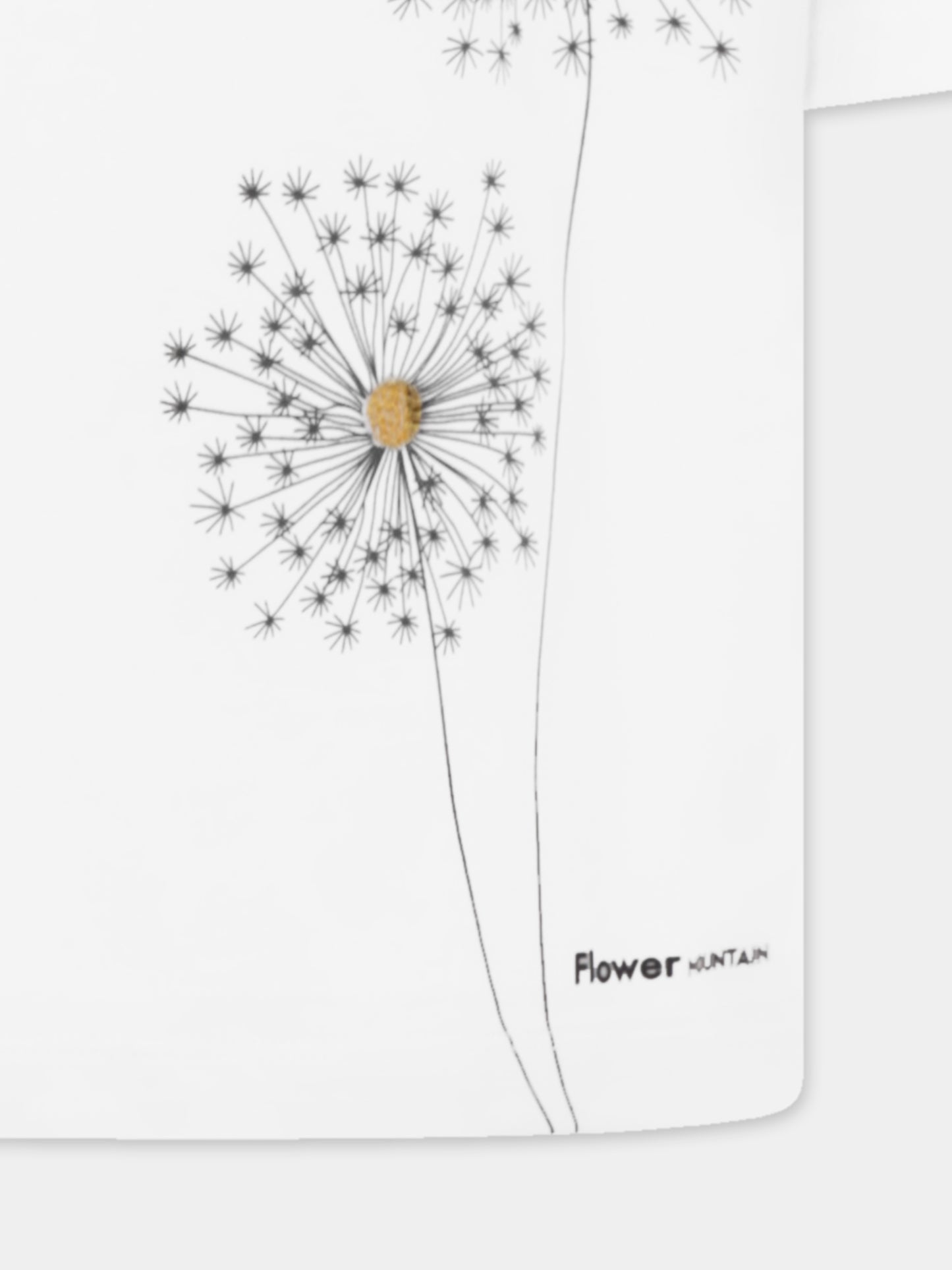 T-shirt bianca per bambini con fiori e logo,Flower Mountain,0N02 0016002878 01 SABURO