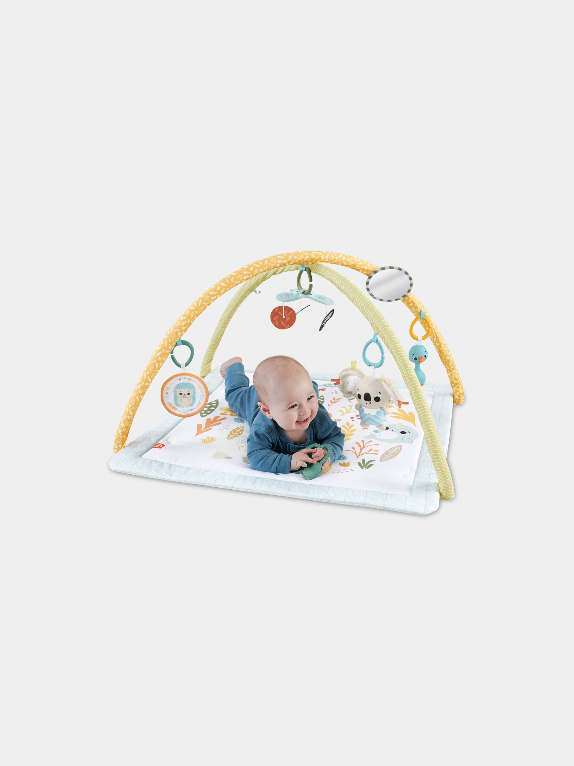Palestrina multisensoriale per neonati,Fisher Price,HRB15