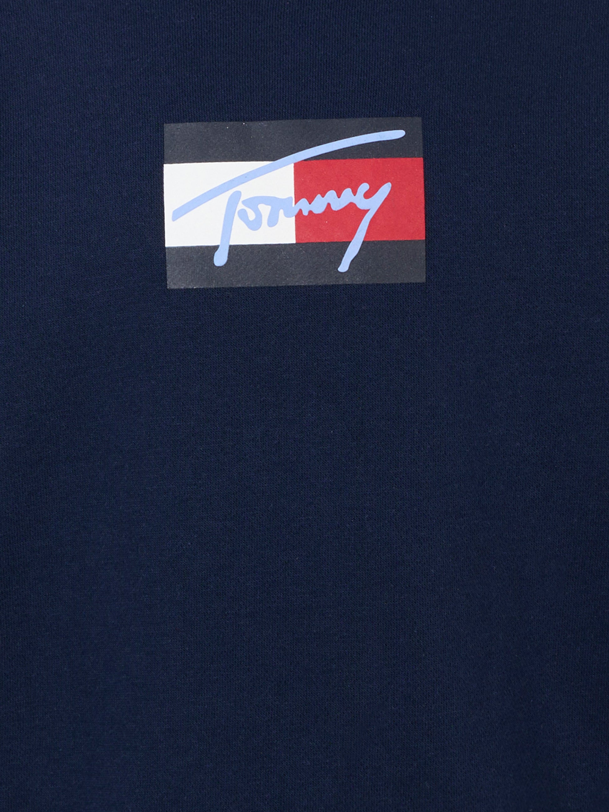 Felpa blu per bambini con logo,Tommy Hilfiger Junior,25CTHKB0KB09741 C1G