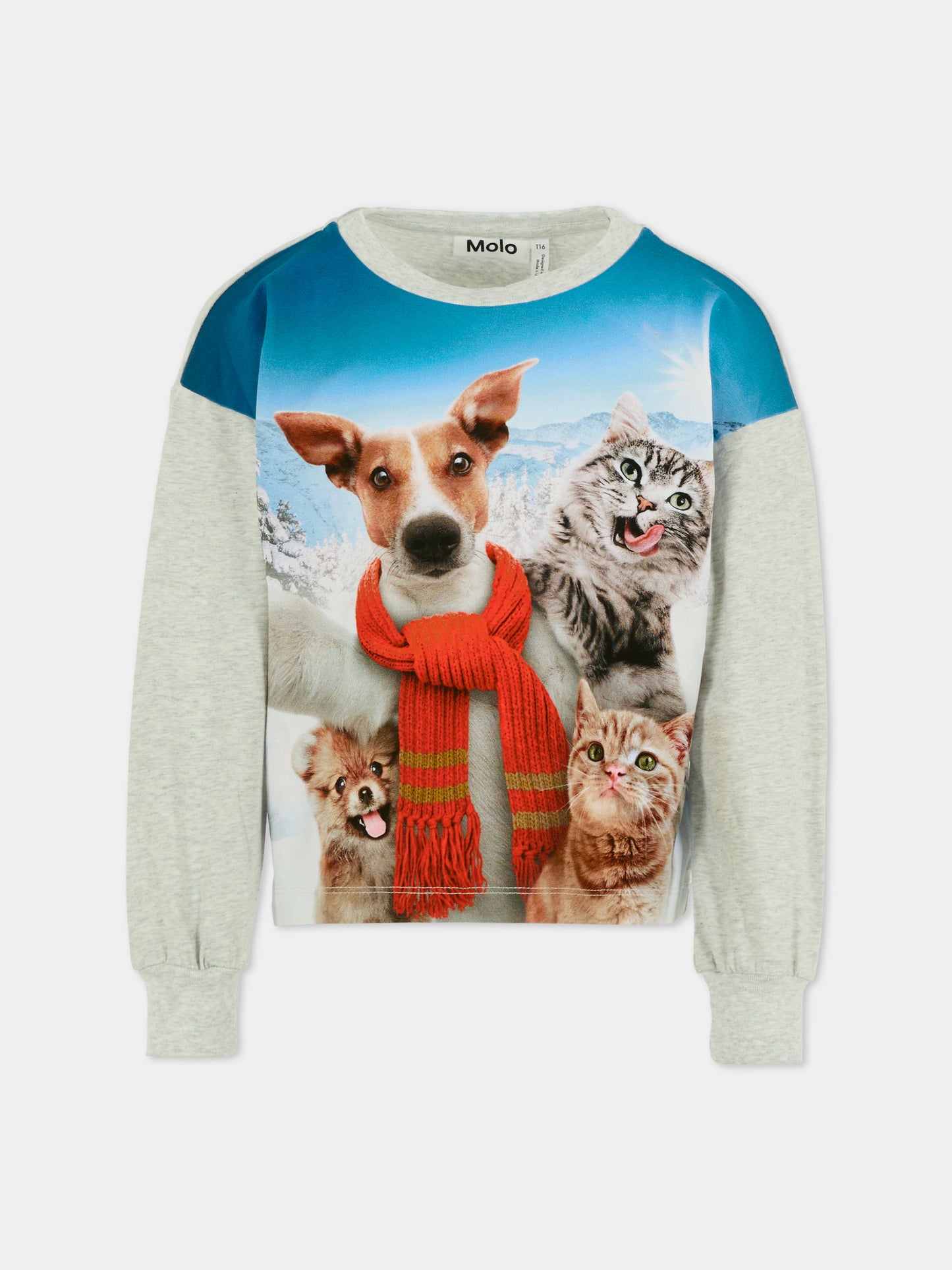 T-shirt Reniza grigia per bambini con cani e gatti,Molo,2W25A405 4976