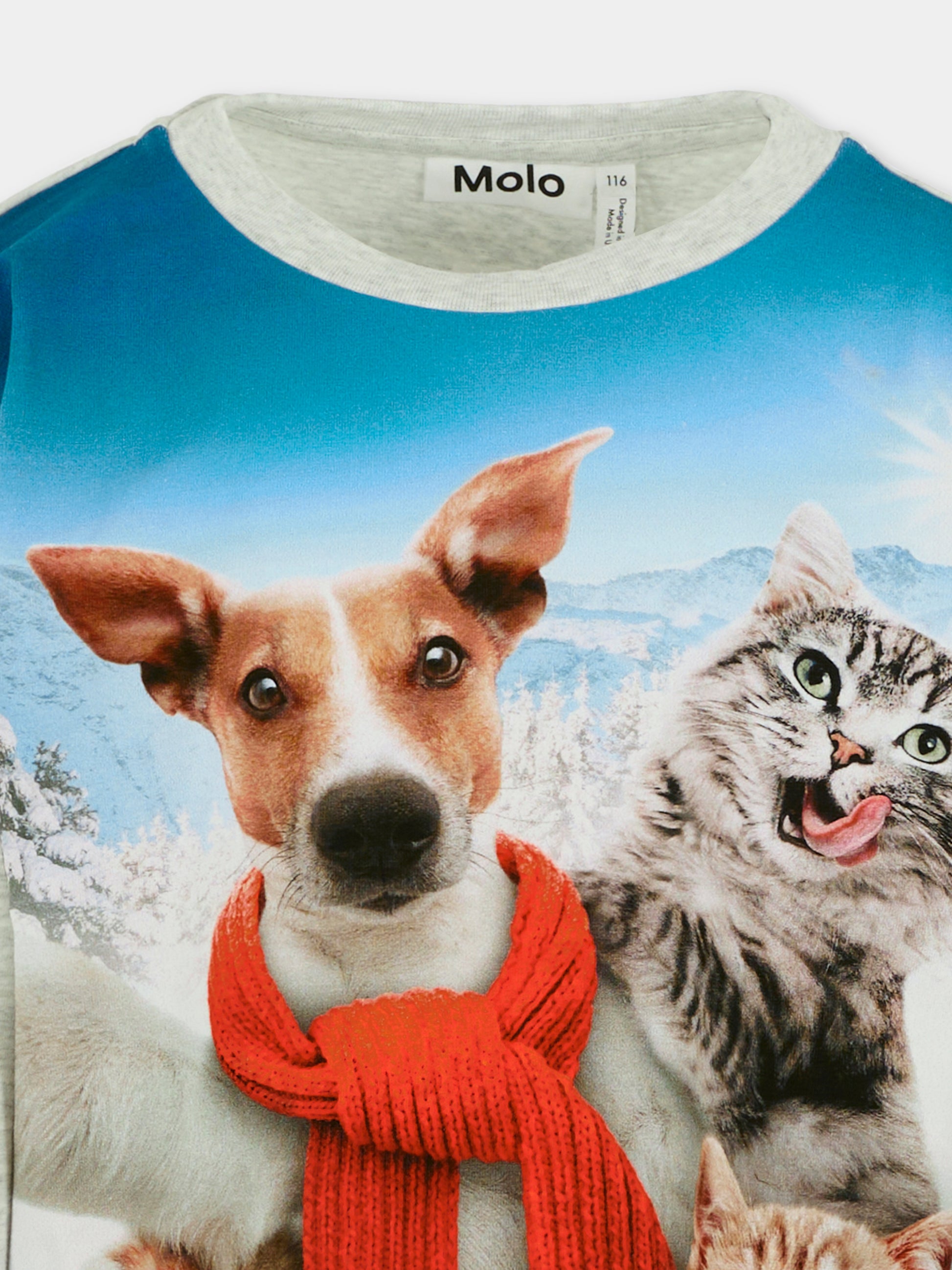 T-shirt Reniza grigia per bambini con cani e gatti,Molo,2W25A405 4976