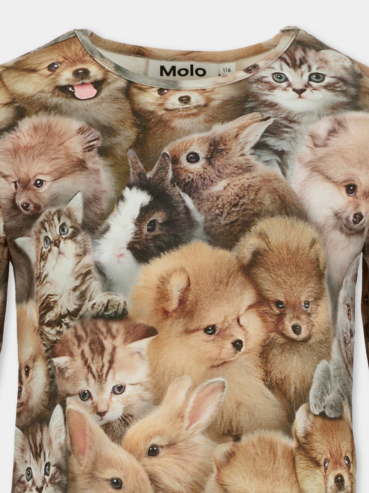 T-shirt Rose marrone per bambina con stampa animali all over,Molo,2W25A415 9377