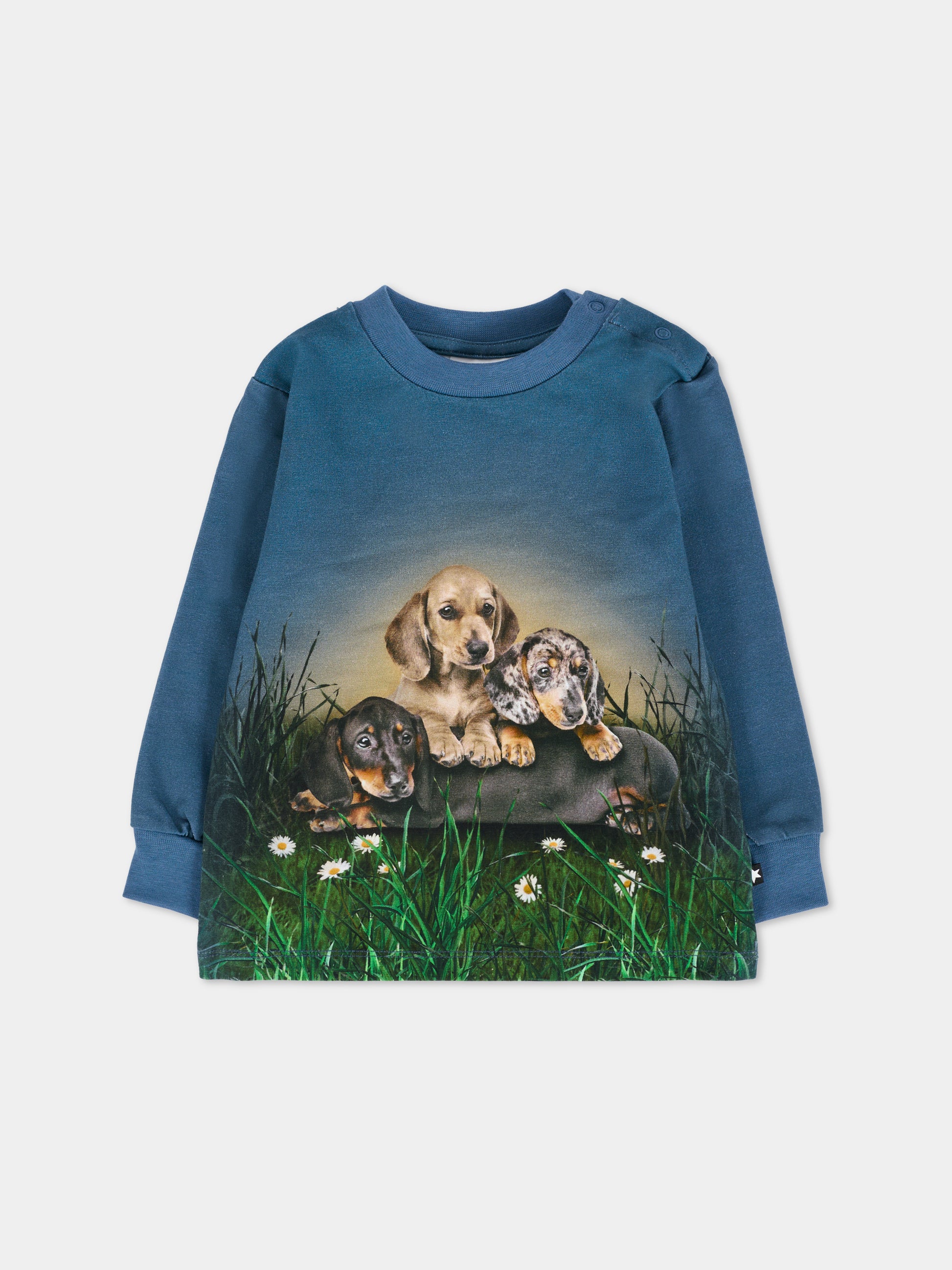 T-shirt Eloy blu per neonato con cani,Molo,6W25A404 9679