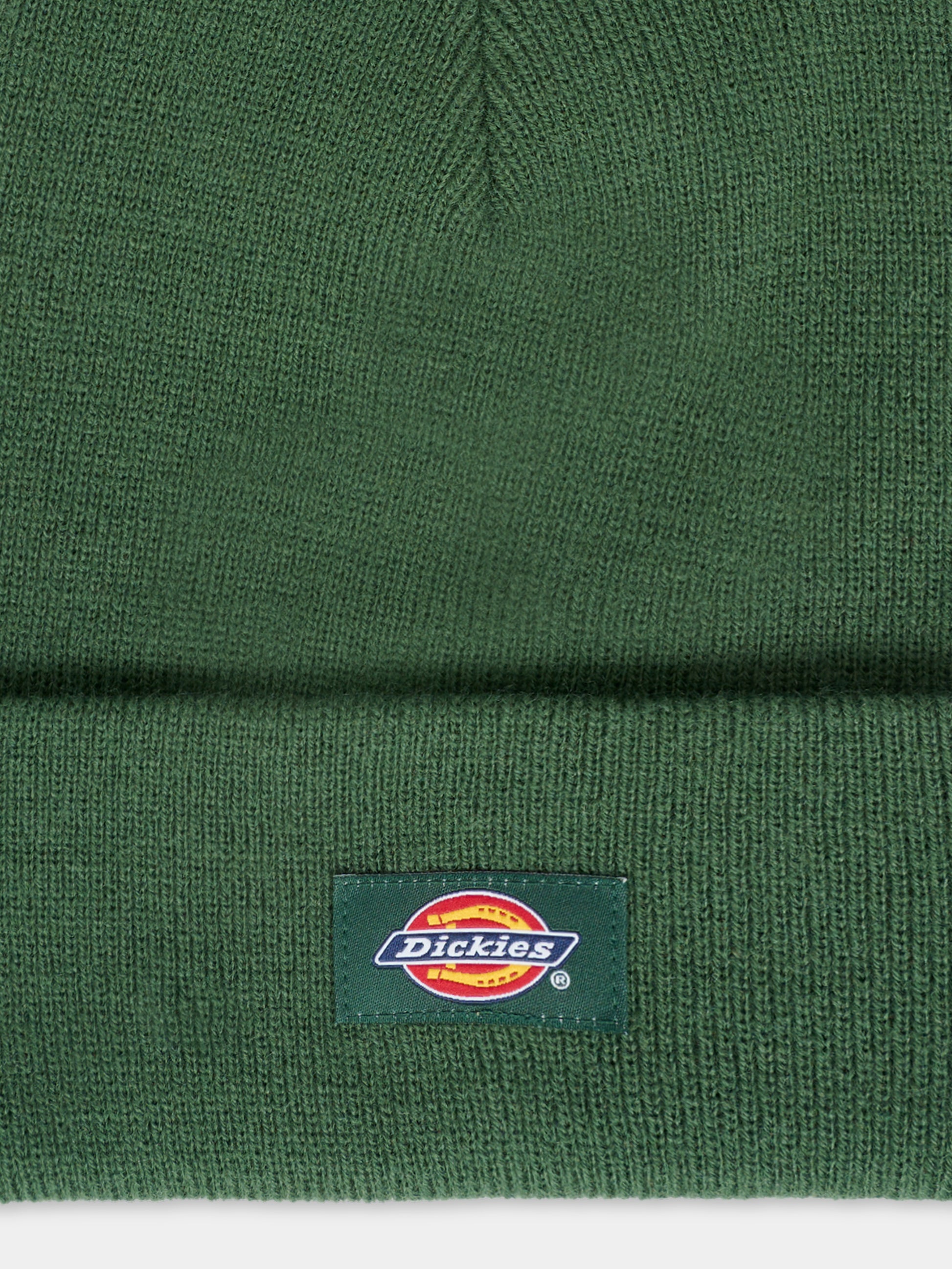 Berretto verde per bambini con logo,Dickies,DK0A4Z3RPIN1