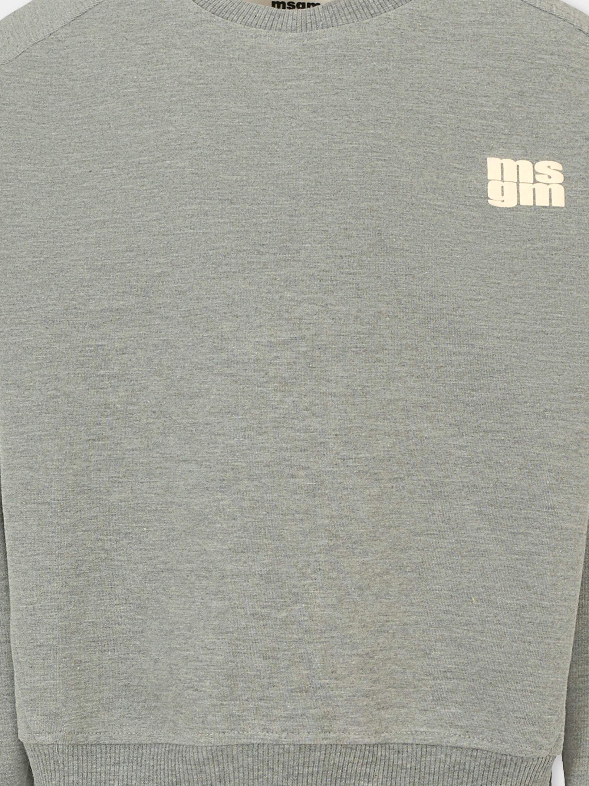 Felpa grigia per bambini con logo avorio,Msgm Kids,F5MSJUSW057 104