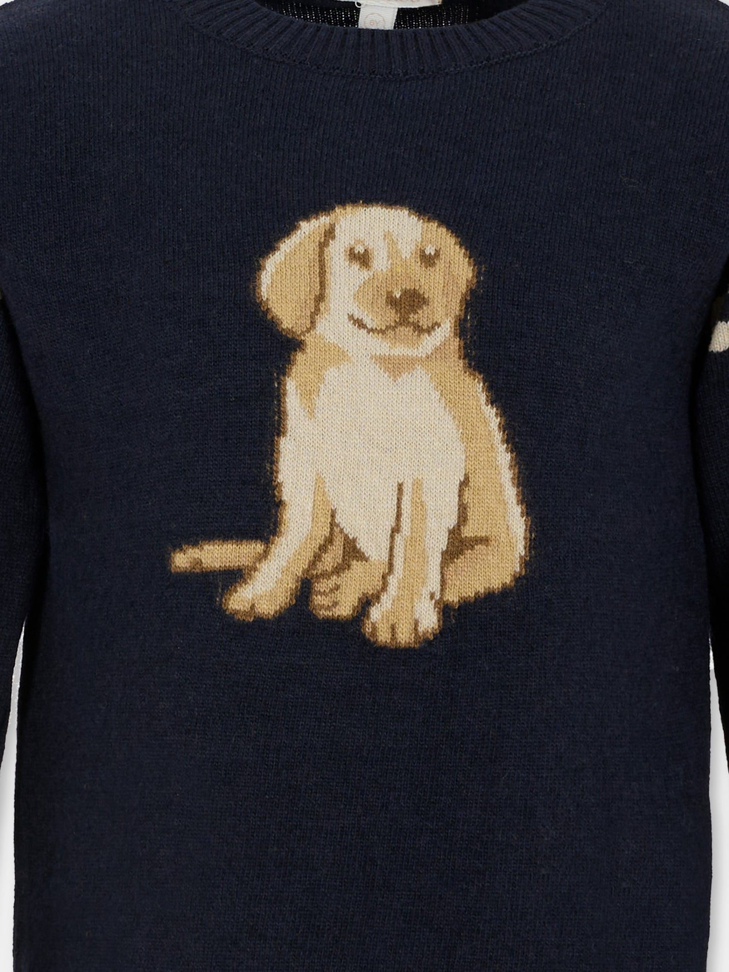 Maglione blu per bambino con cane,Patachou,PAP SWE4133367 360