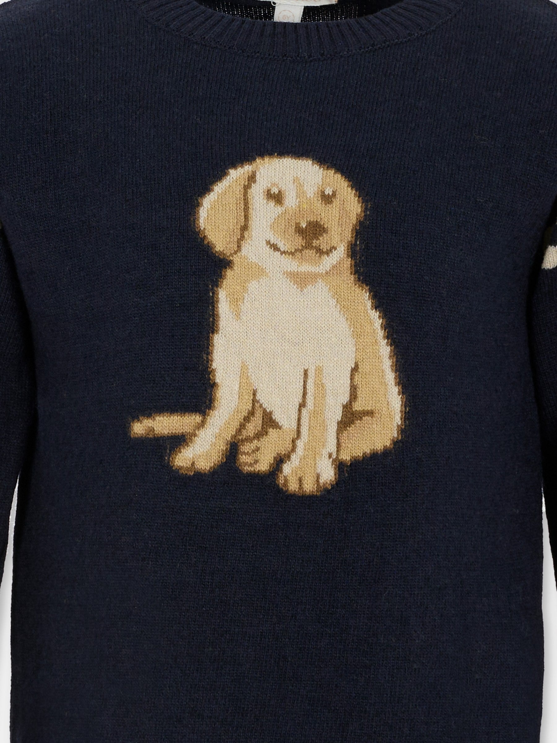 Maglione blu per bambino con cane,Patachou,PAP SWE4133367 360