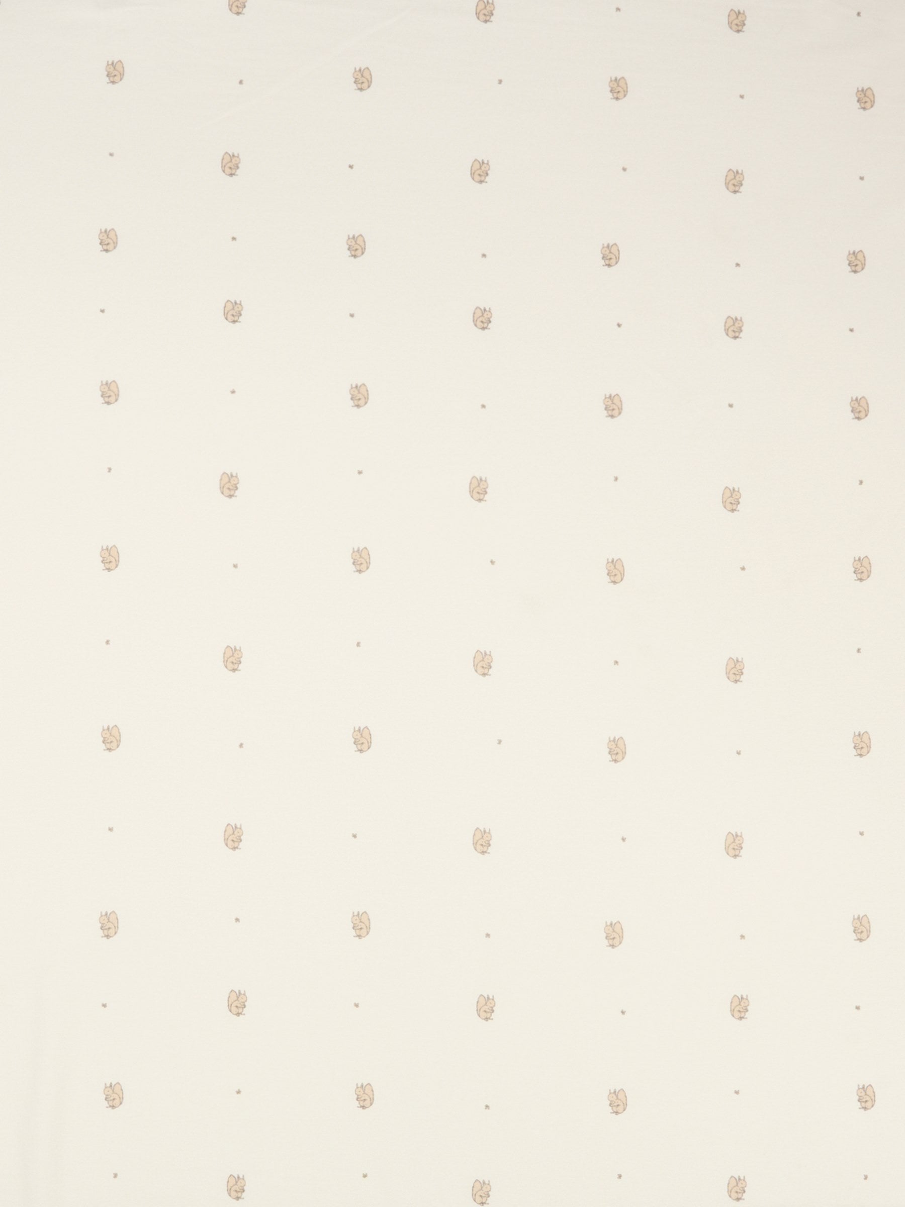 Coperta avorio per neonati con stampa scoiattolo,Bamboom,1083 SQUIRREL PRINT