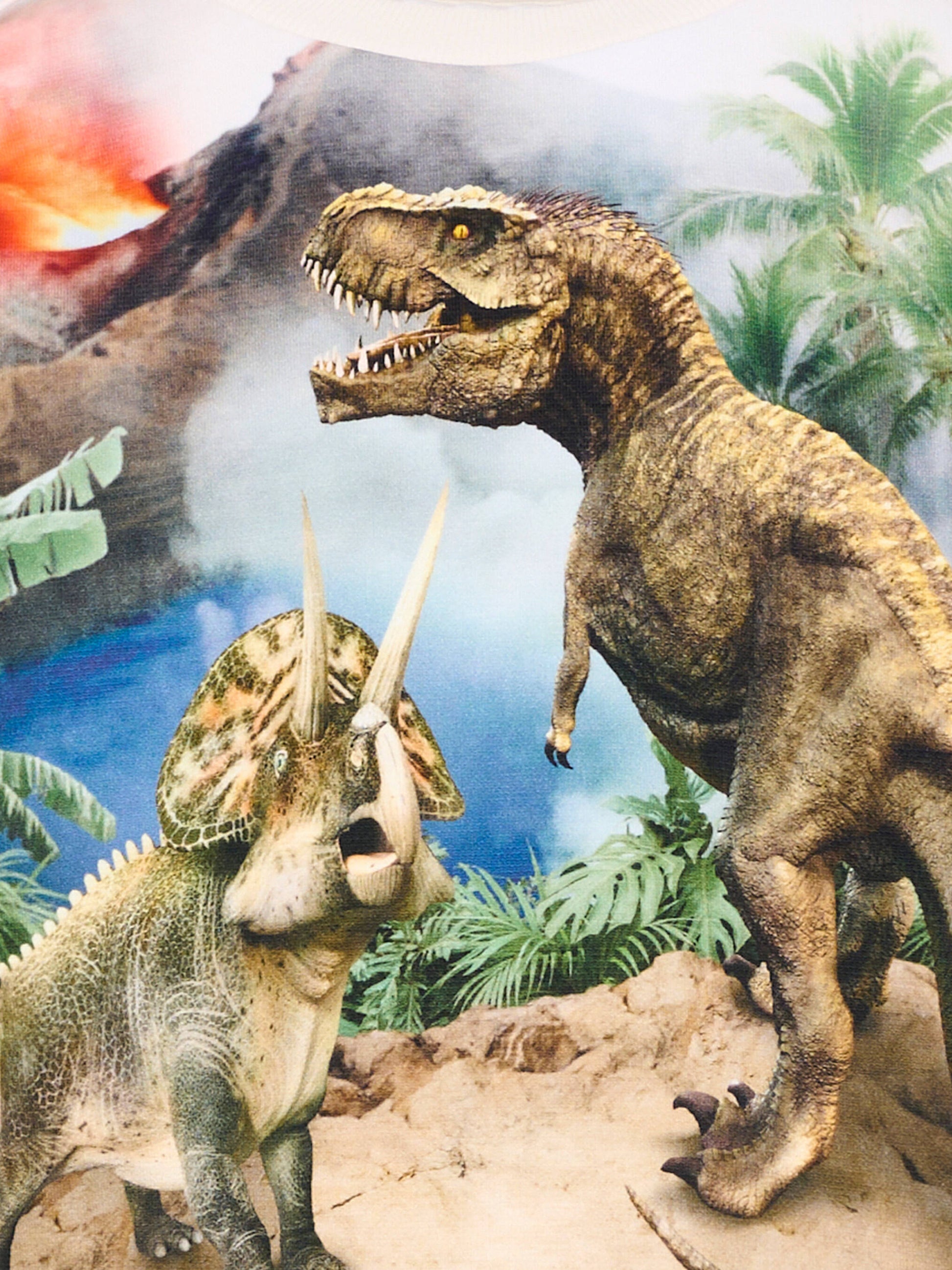 Felpa multicolor Miksi per bambino con dinosauri,Molo,1S26J205 9900