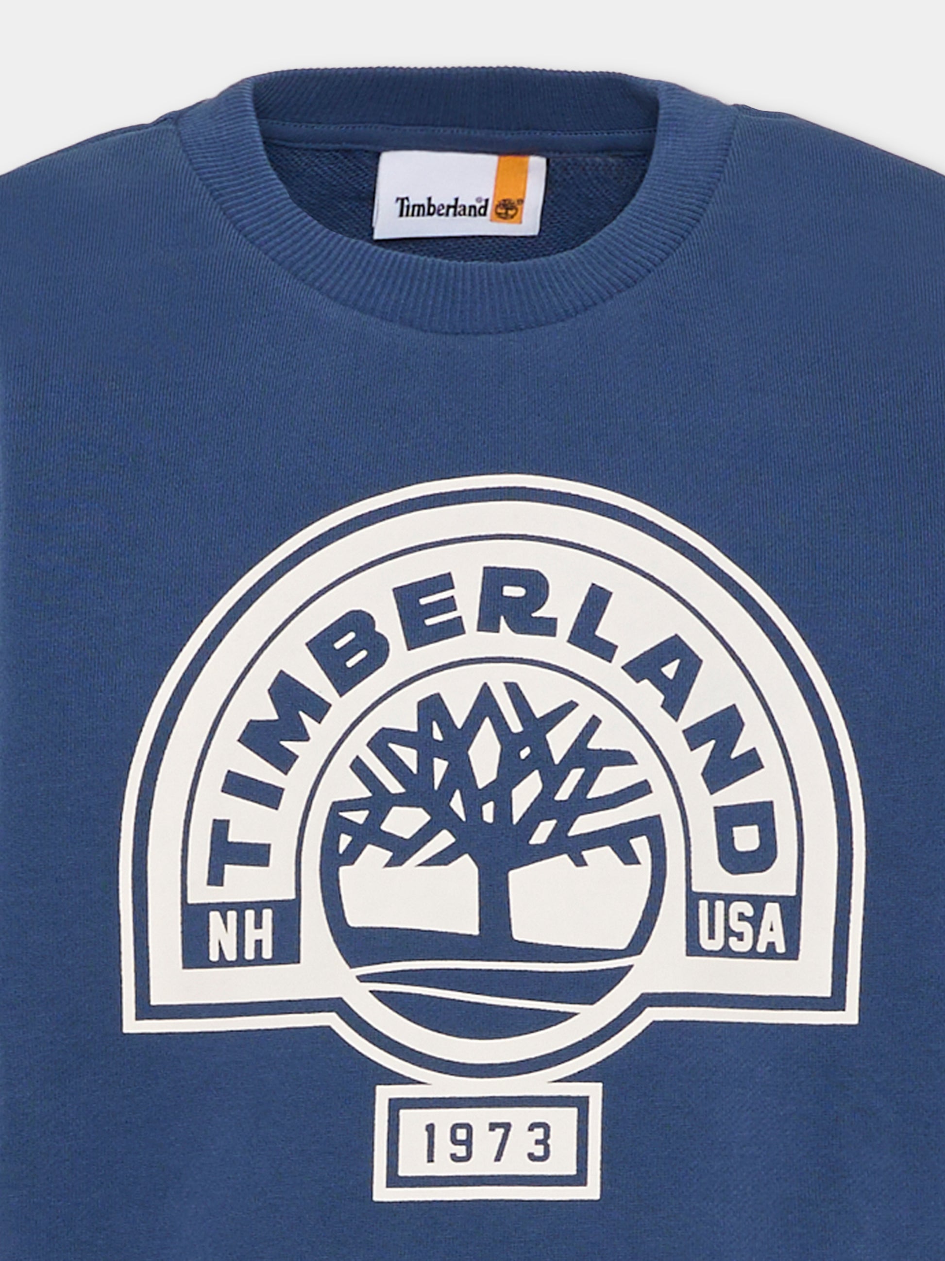 Felpa blu per bambino con logo,Timberland,T60811 805