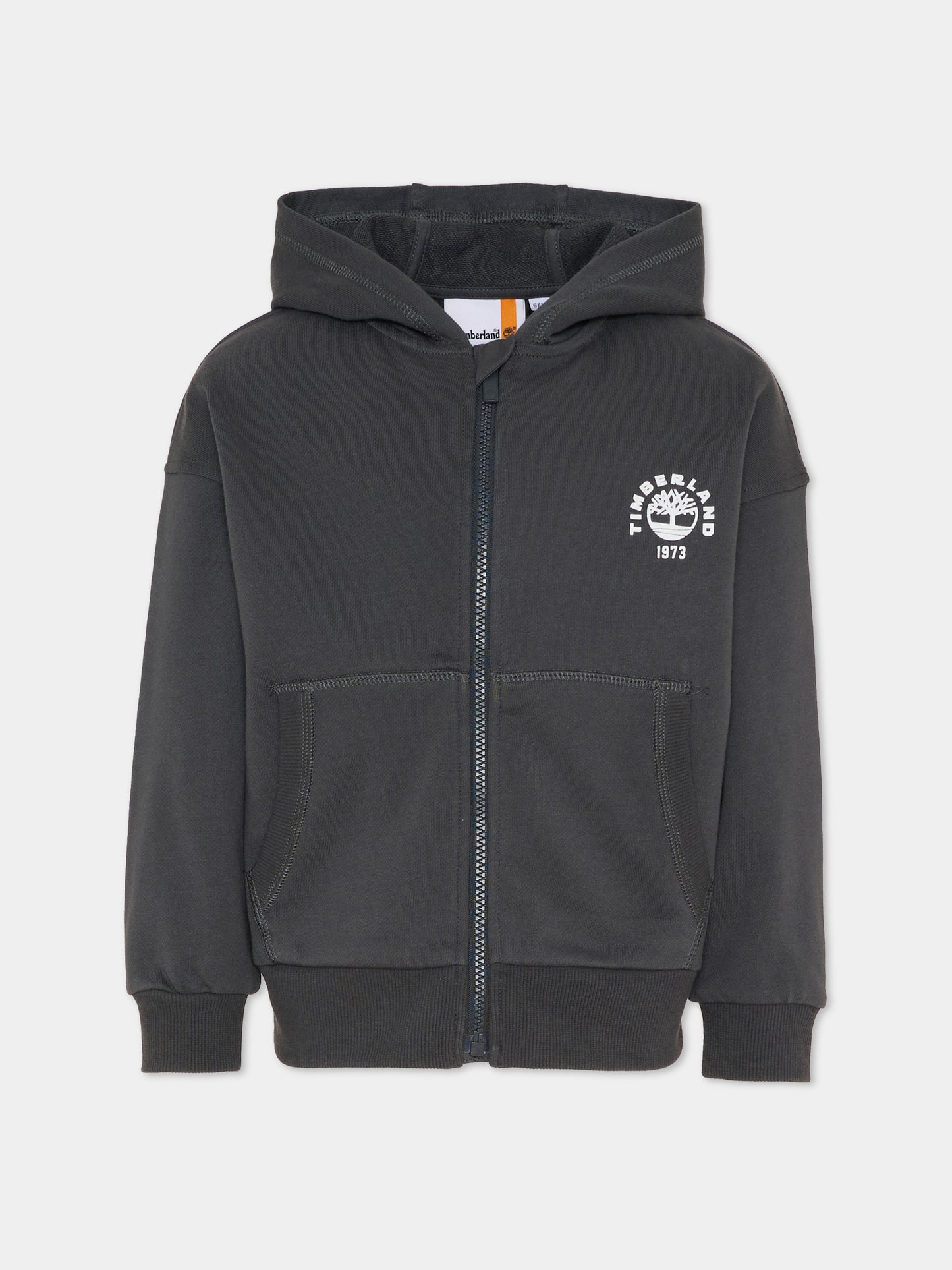 Felpa grigia per bambino con logo,Timberland,T60828 066