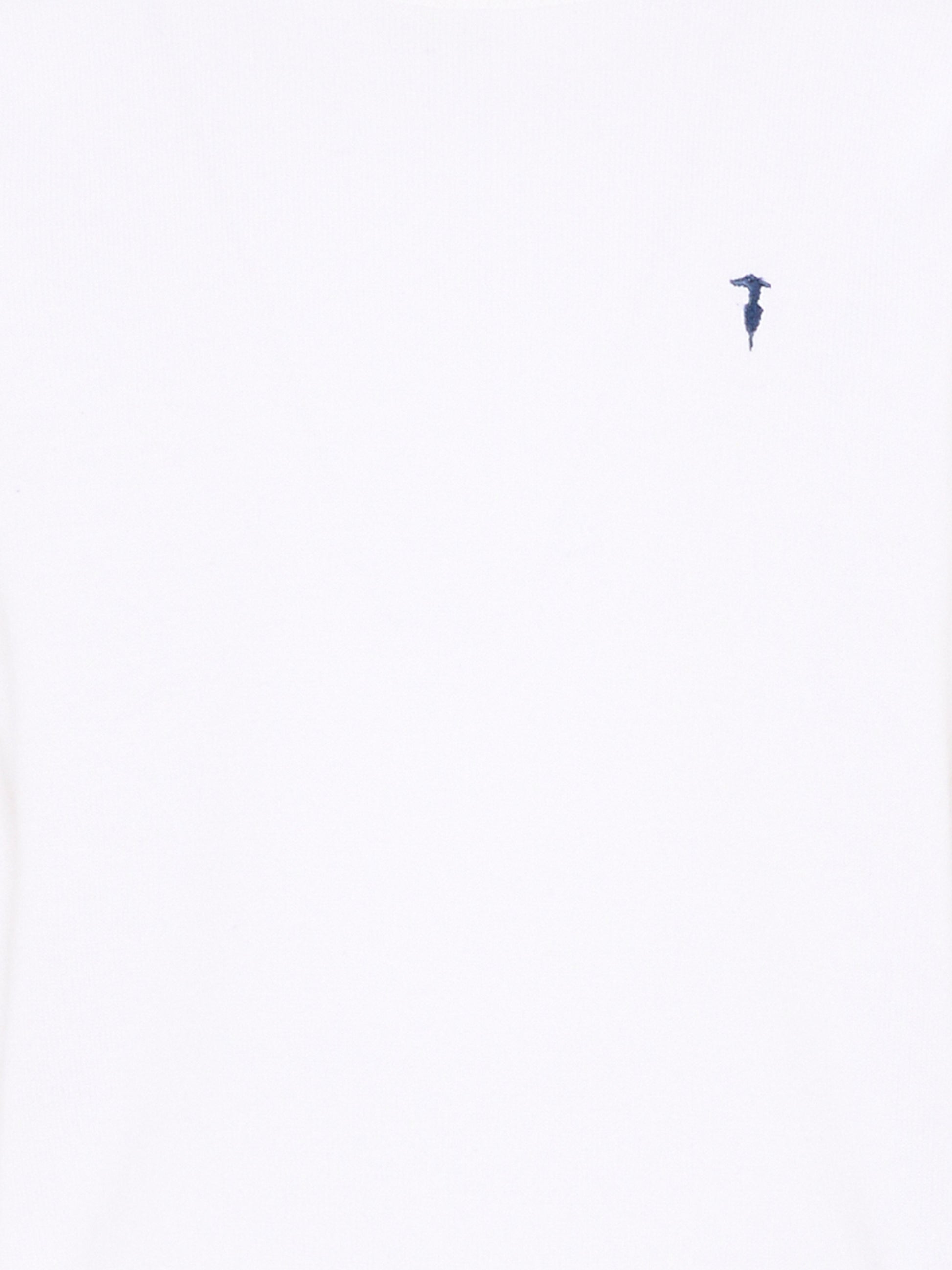 Maglione bianco per bambino con levriero,Trussardi Junior,TBP26005MA WHITE OPTICAL