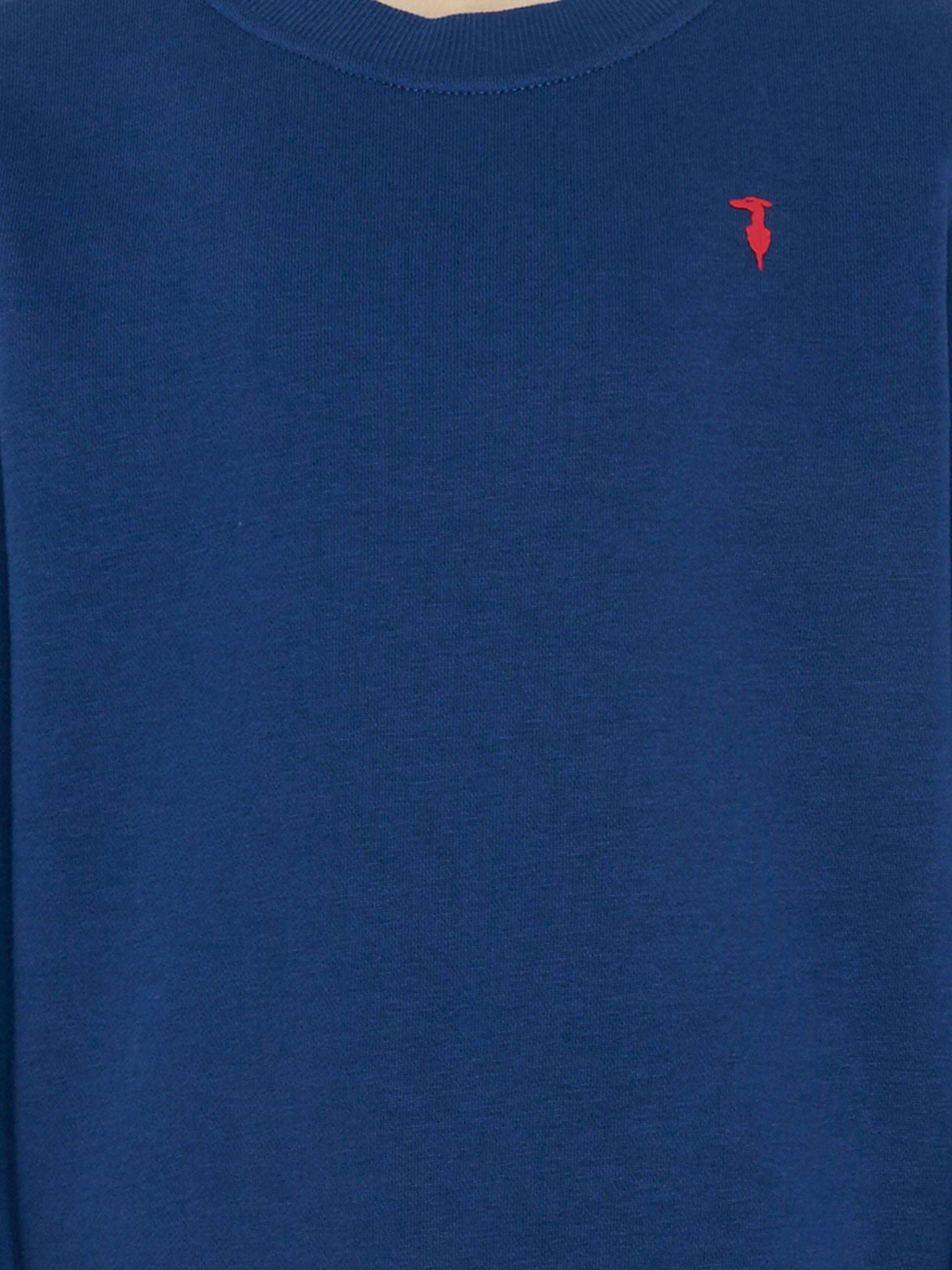 Felpa blu per bambino con logo,Trussardi Junior,TBP26001FE BLUE ESTATE