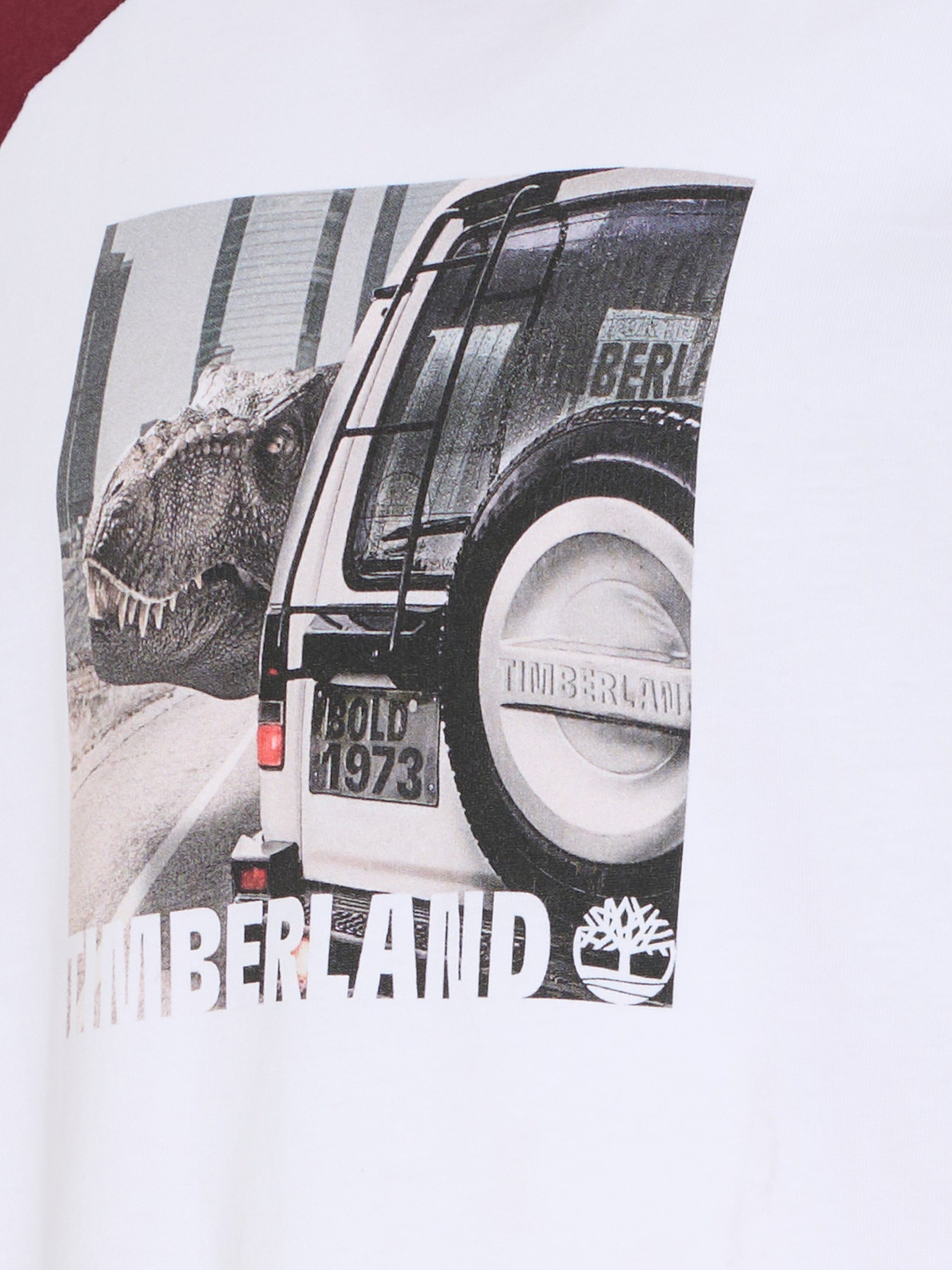 T-shirt bianca per bambino con logo e dinosuaro,Timberland,T60305 10P