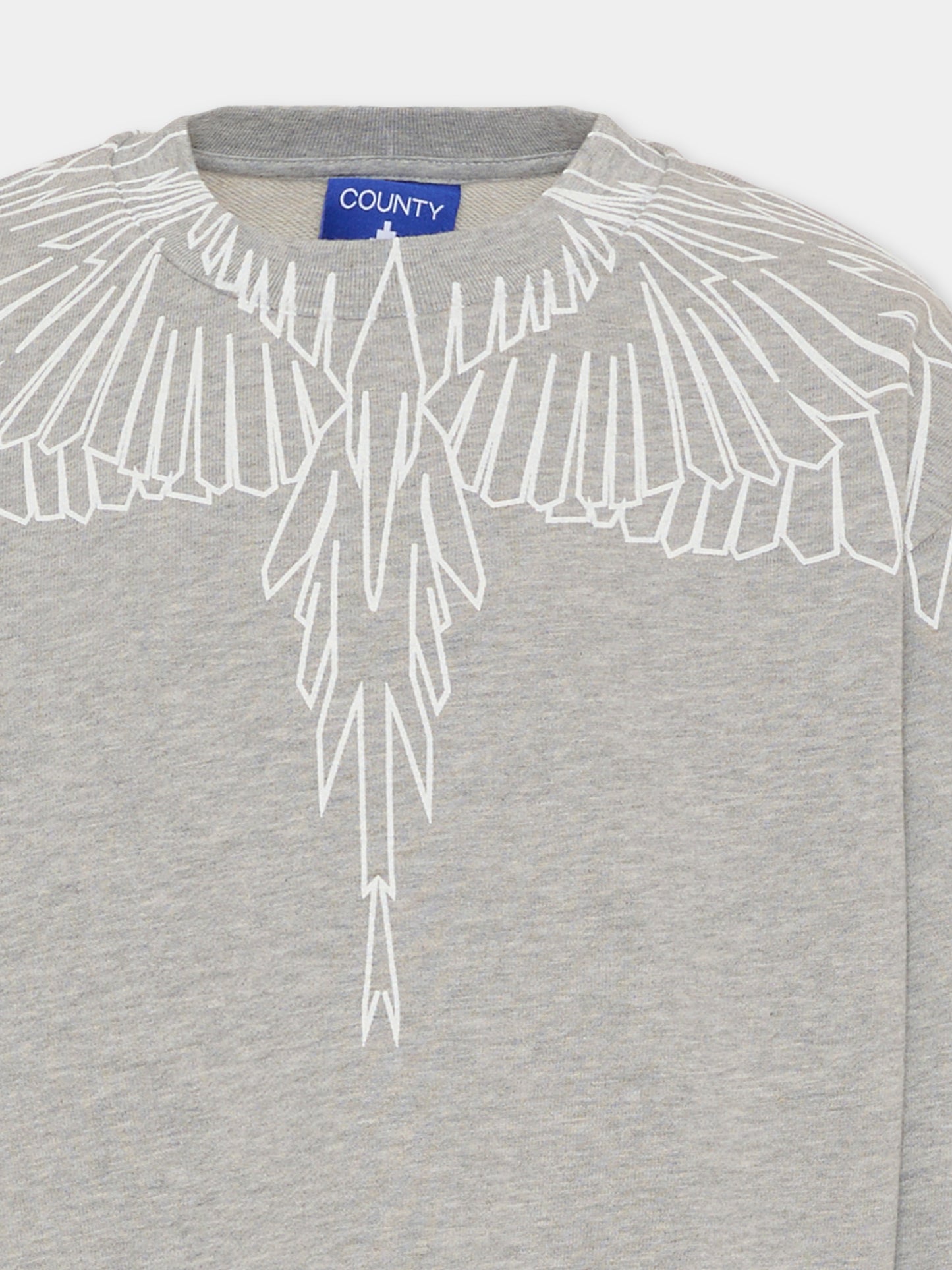 Felpa grigia per bambino con ali,County Of Milan Kids,F5CMJBSW071 101