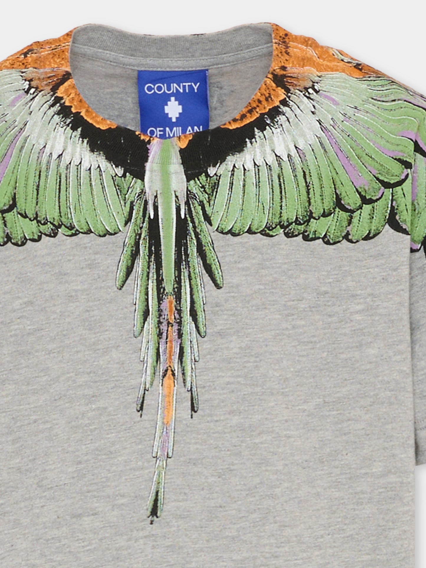 Grey T-shirt for boy with wings