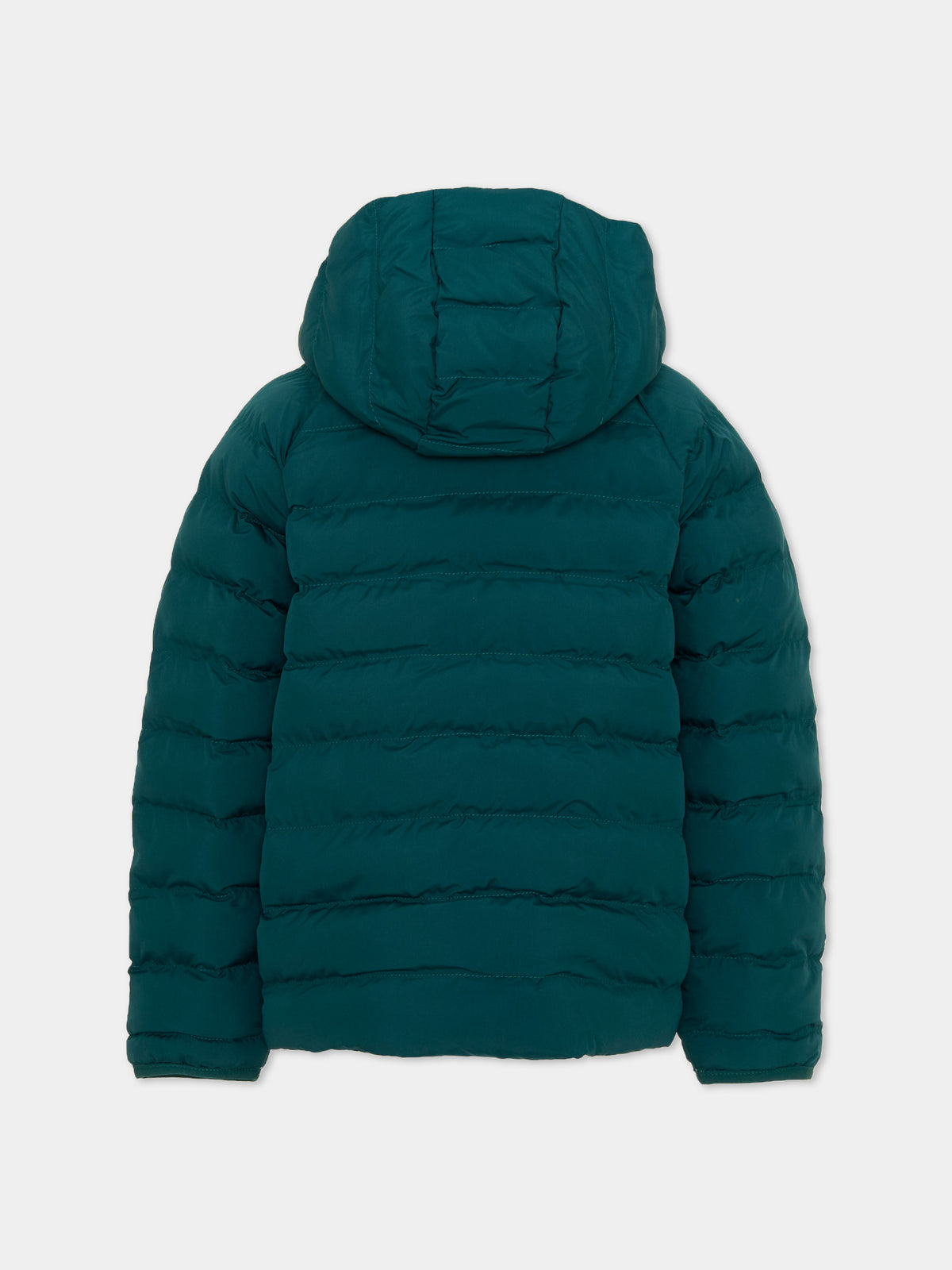 Piumino verde per bambino con cappuccio,The North Face Kids,NF0A88VJN4J1