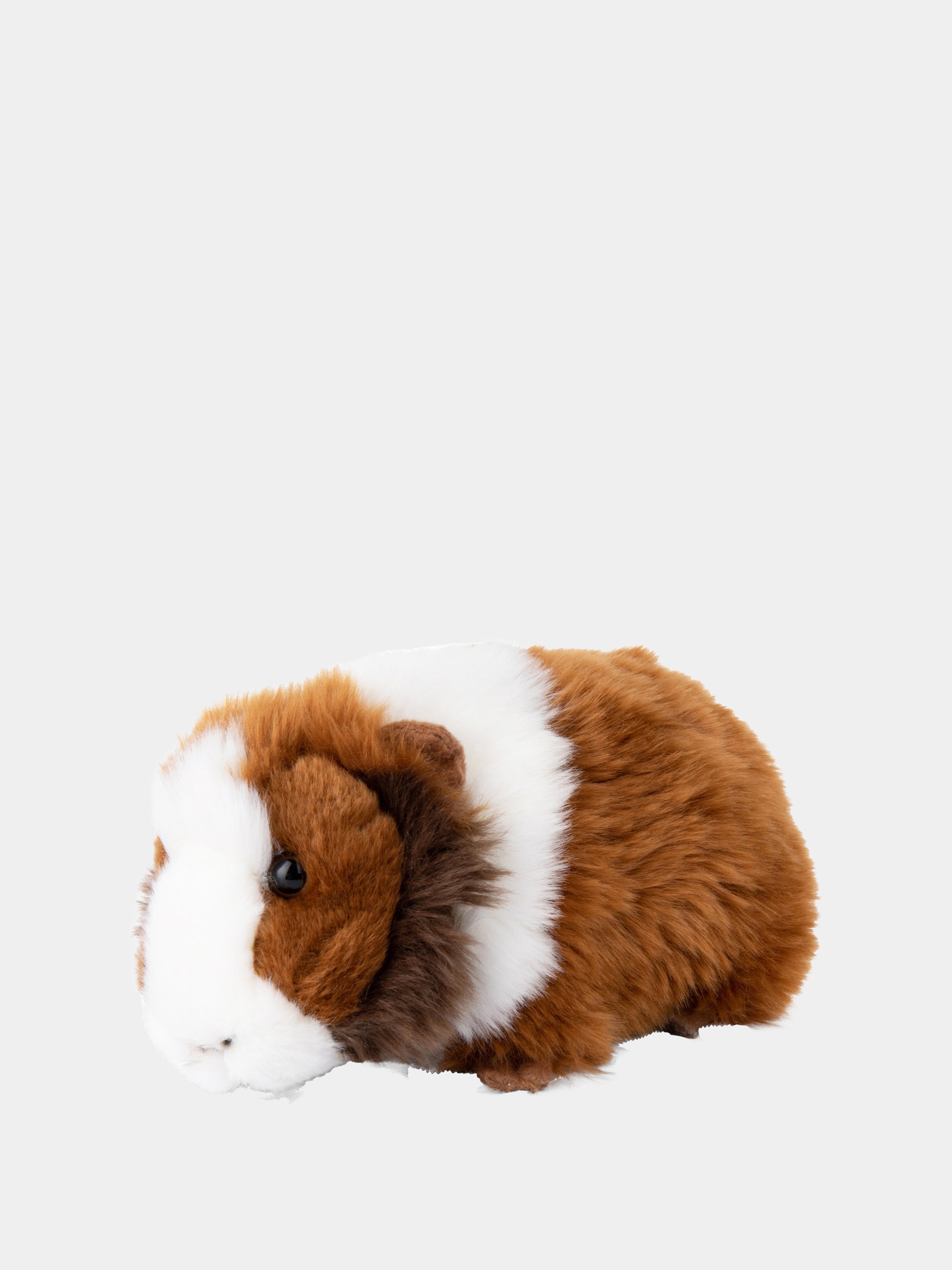 WWF Porcellino d'India marrone per bambini,Bon Ton Toys,15201008 WWF GUINEA PIG