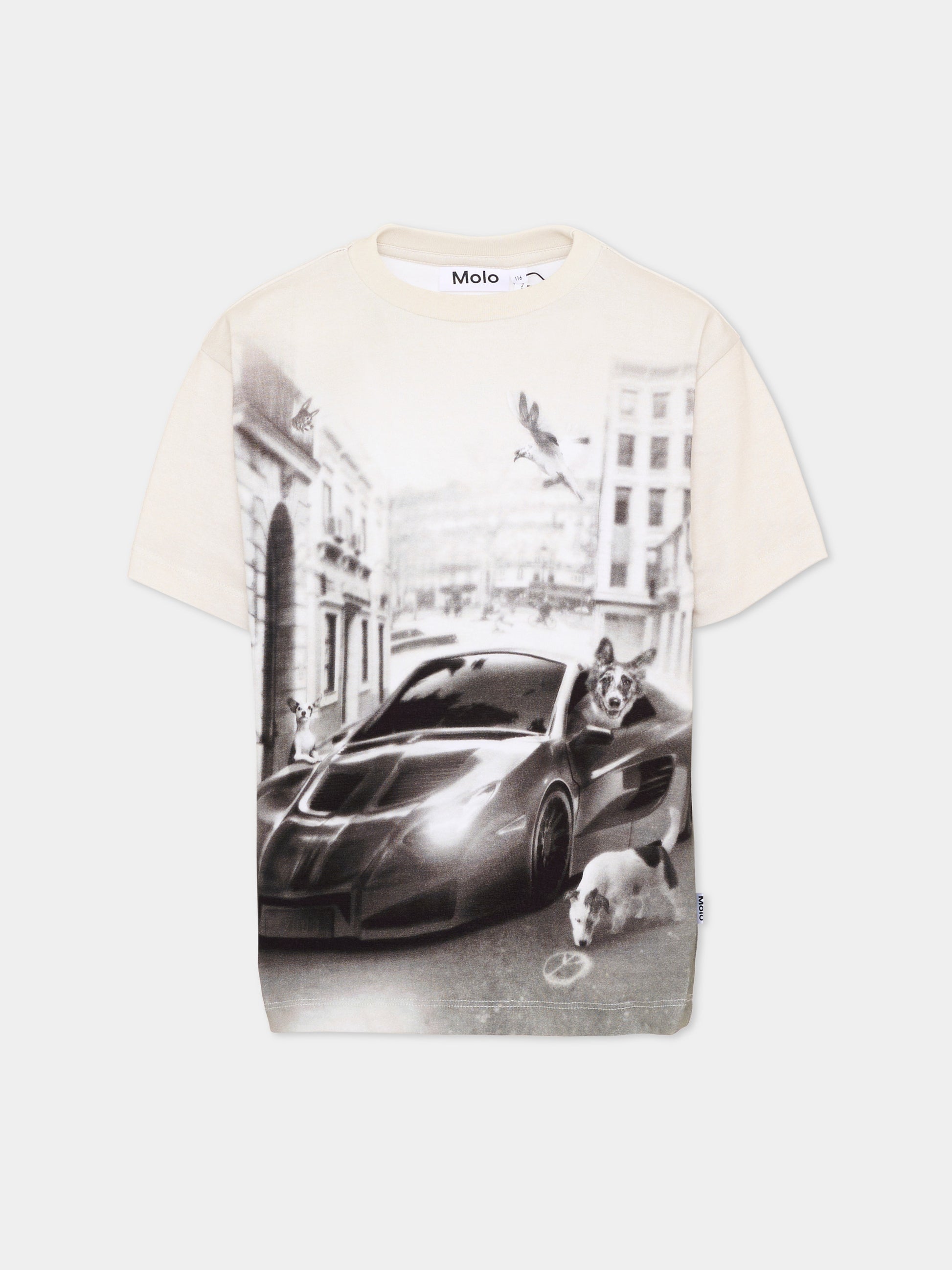 T-Shirt grigia Riley per bambino,Molo,1W26A203 5922