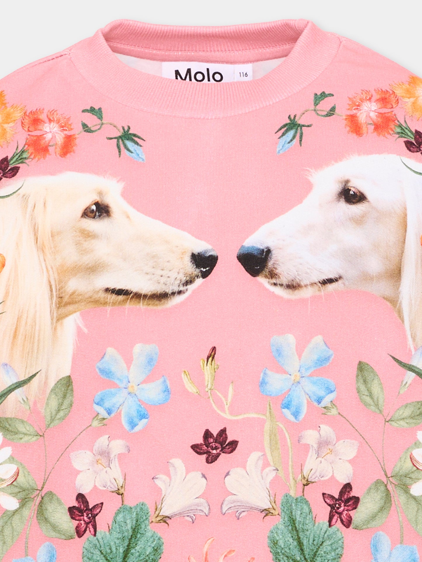 Felpa rosa Maxi per bambina con cani,Molo,2W26J202 5776