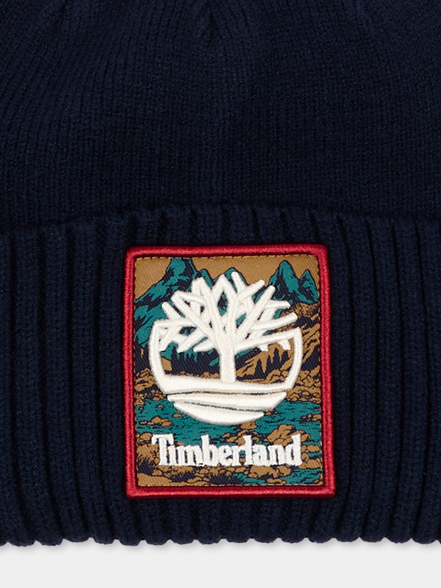 Berretto blu per bambino con logo,Timberland,T61099 849
