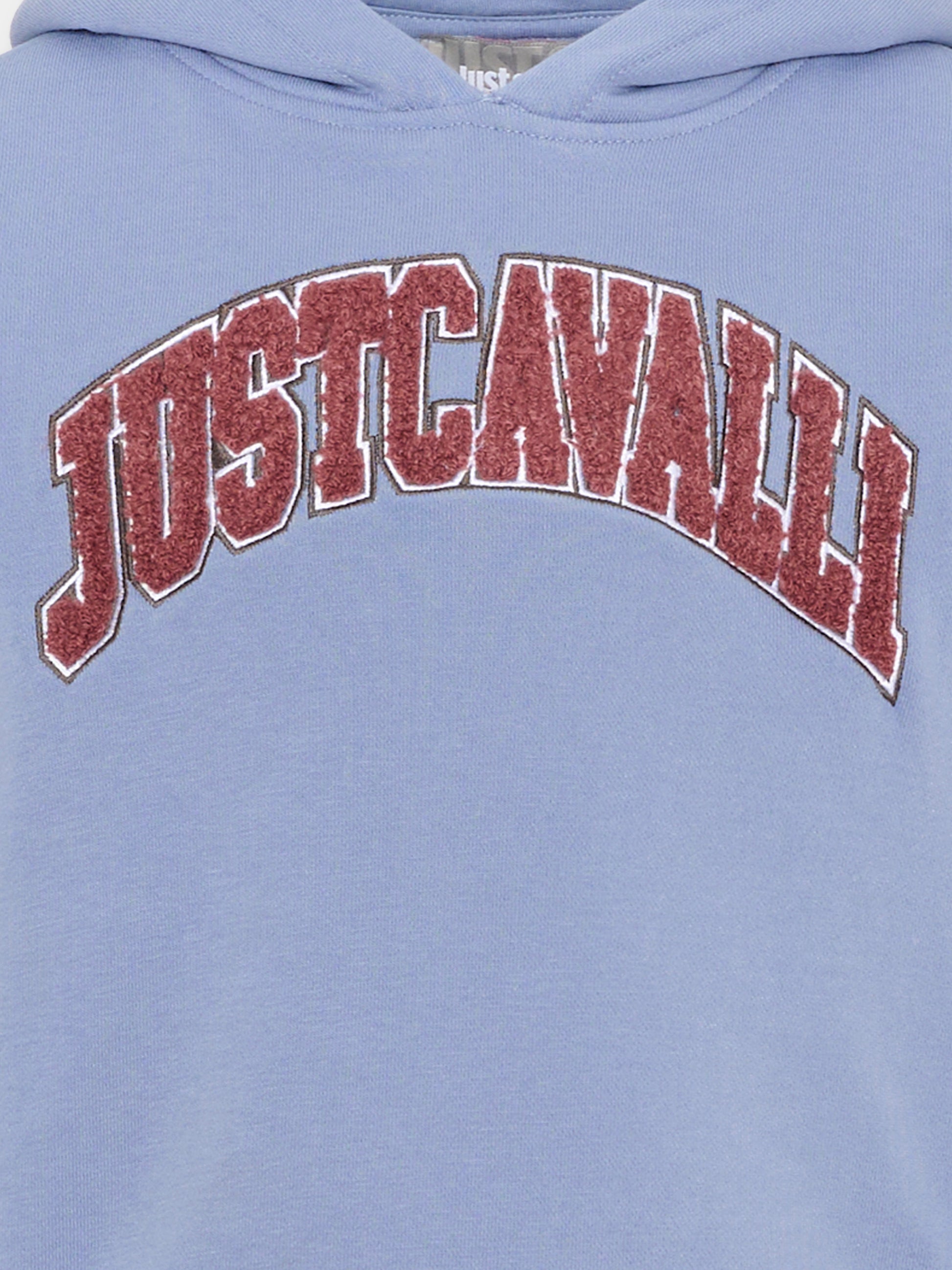Felpa con cappuccio celeste per bambina con logo,Just Cavalli Kids,JGA26021FE BLUE_ENGL. BLUE ENGLISH
