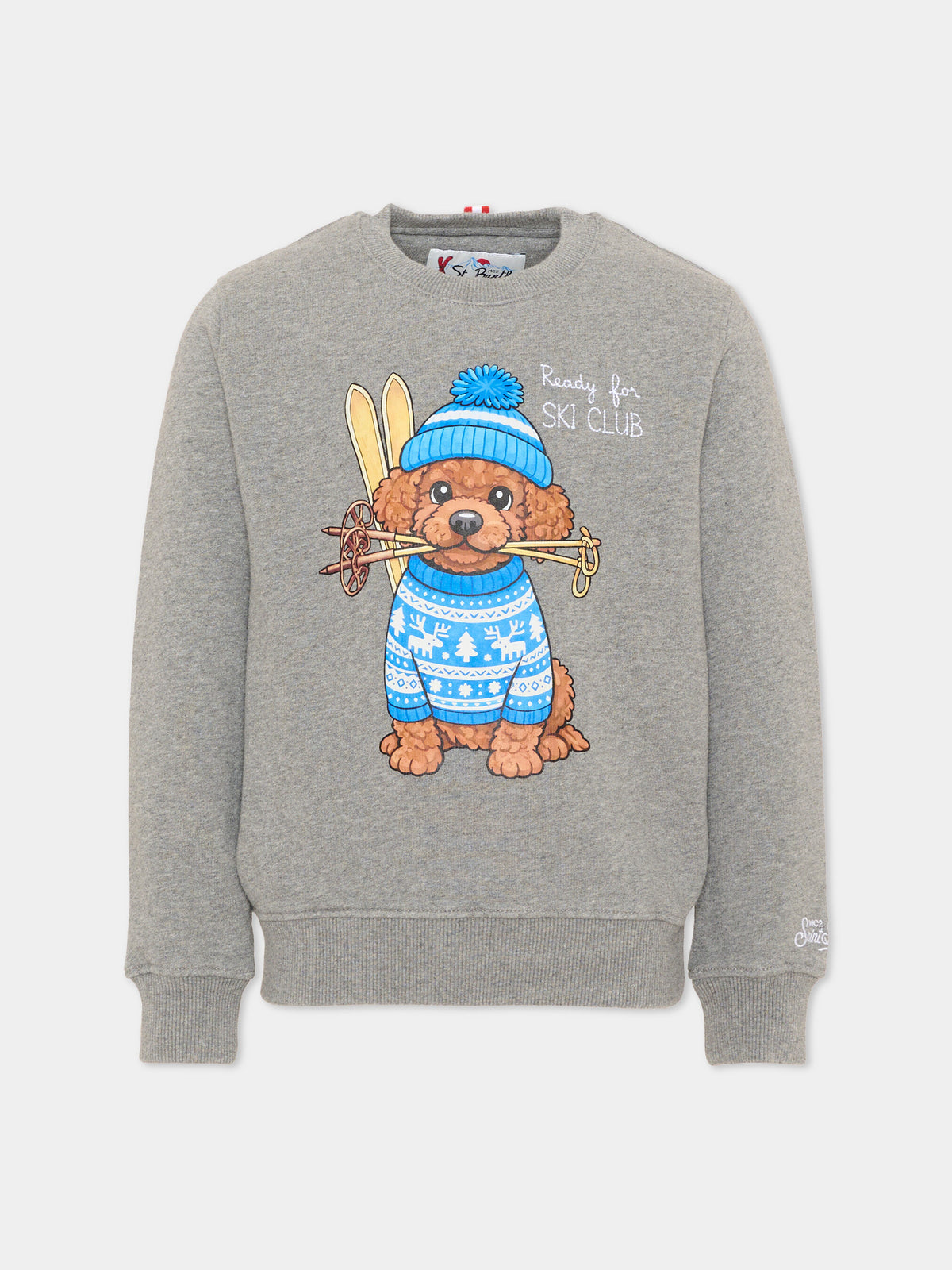 Felpa girocollo grigia per bambino con stampa,Mc2 Saint Barth,HUT0004 01185M