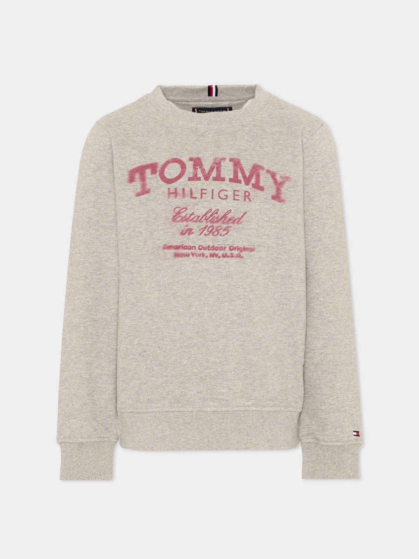 Felpa grigia per bambino con logo,Tommy Hilfiger Junior,KB0KB10337 A1G