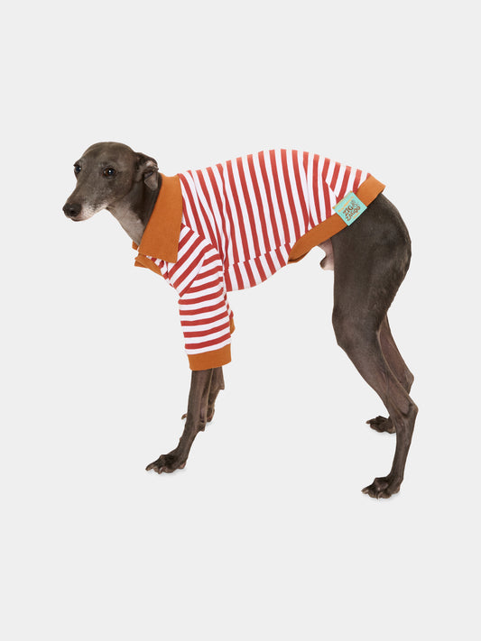 Tutina Ettore marrone per cani,Zigzagoo,ETTORE BRIQUE