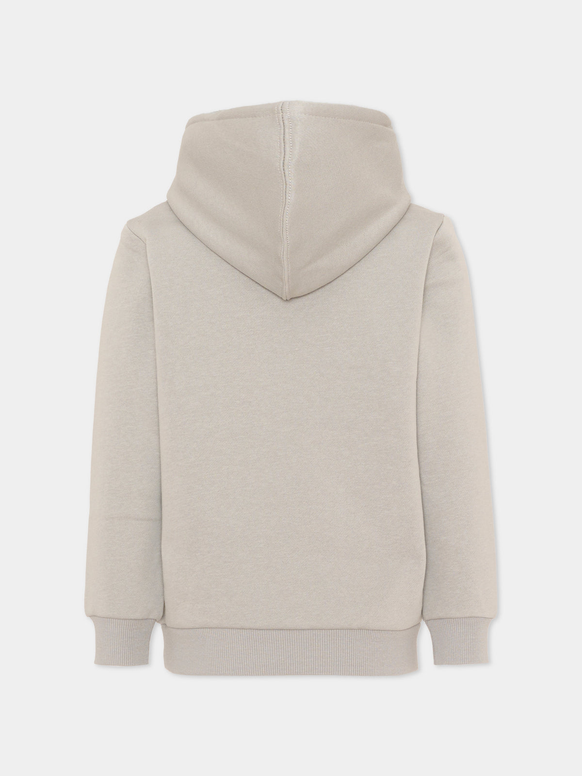 Felpa con cappuccio grigia per bambino,Levi's Kids,8E8778 GKG