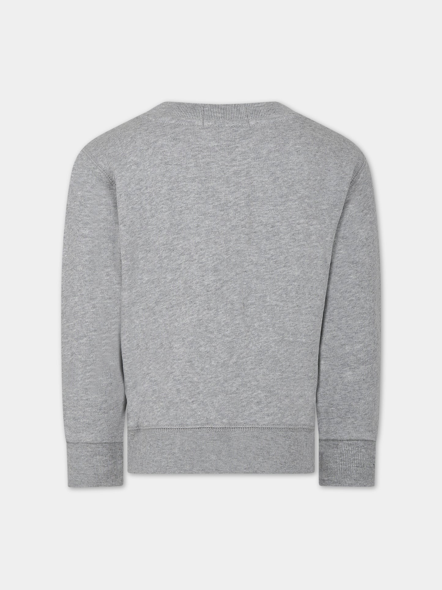 Felpa grigia per bambino con orso e logo,Ralph Lauren Kids,919722001