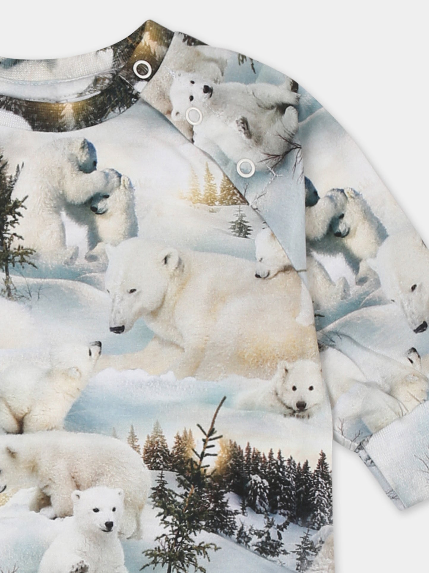 Tutina celeste Fairfax per neonato con stampa orso polare,Molo,6W24B501 9136