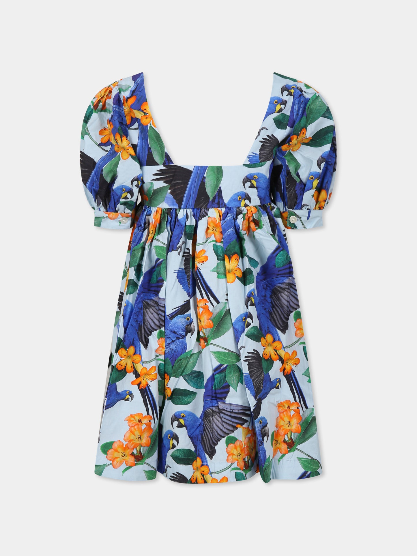 Vestito Camilo celeste per bambina con pappagalli e fiori,Molo,2S25E118 9266