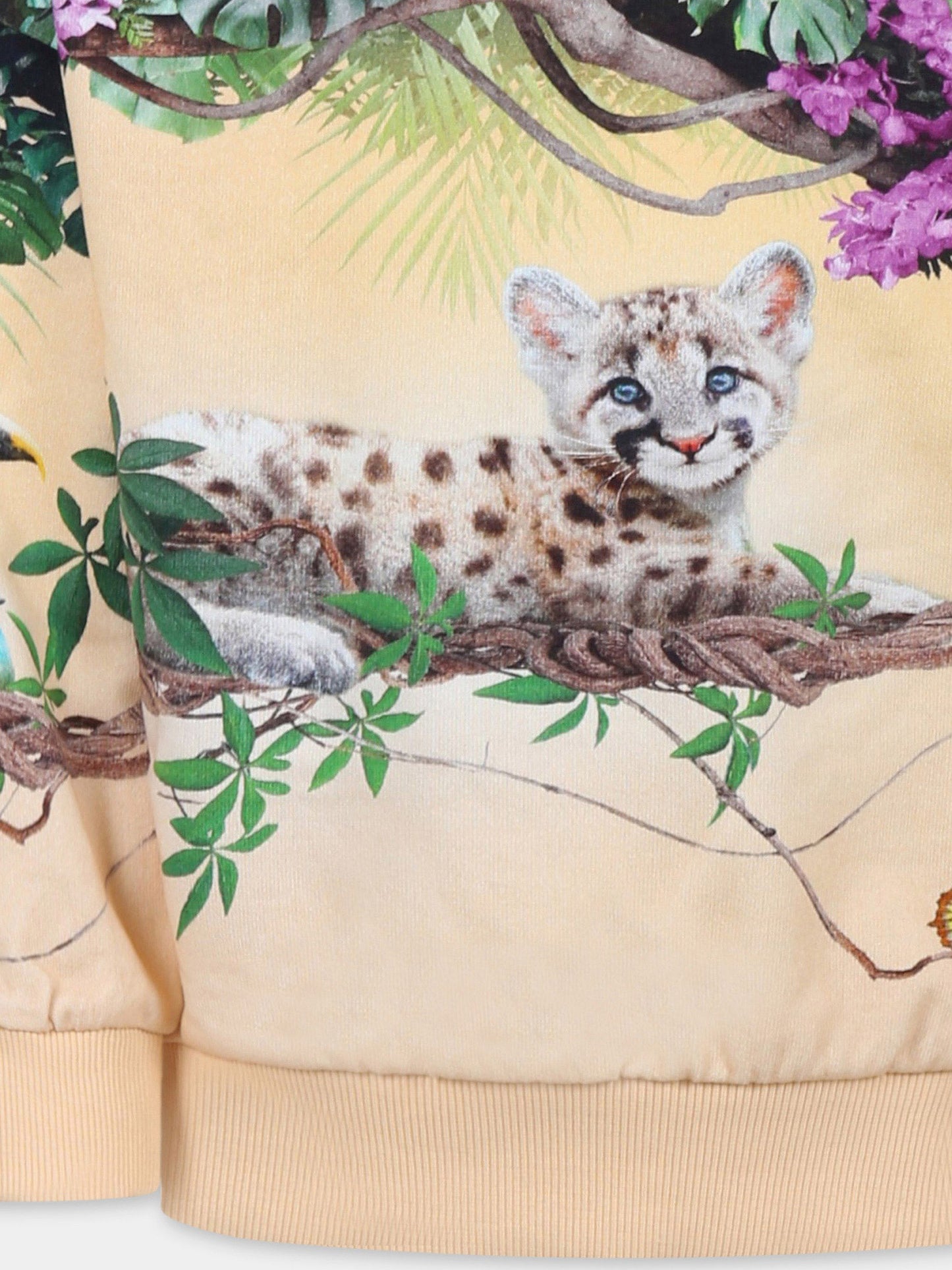 Pink sweatshirt for girl with puma