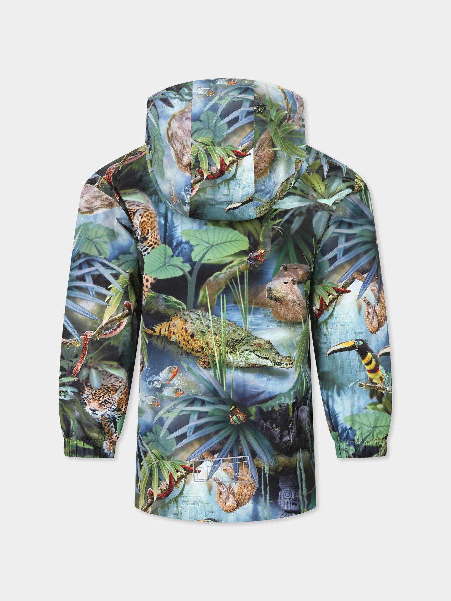 Giacca a vento Waiton verde per bambino con stampa giungla,Molo,5NOSO121 9334