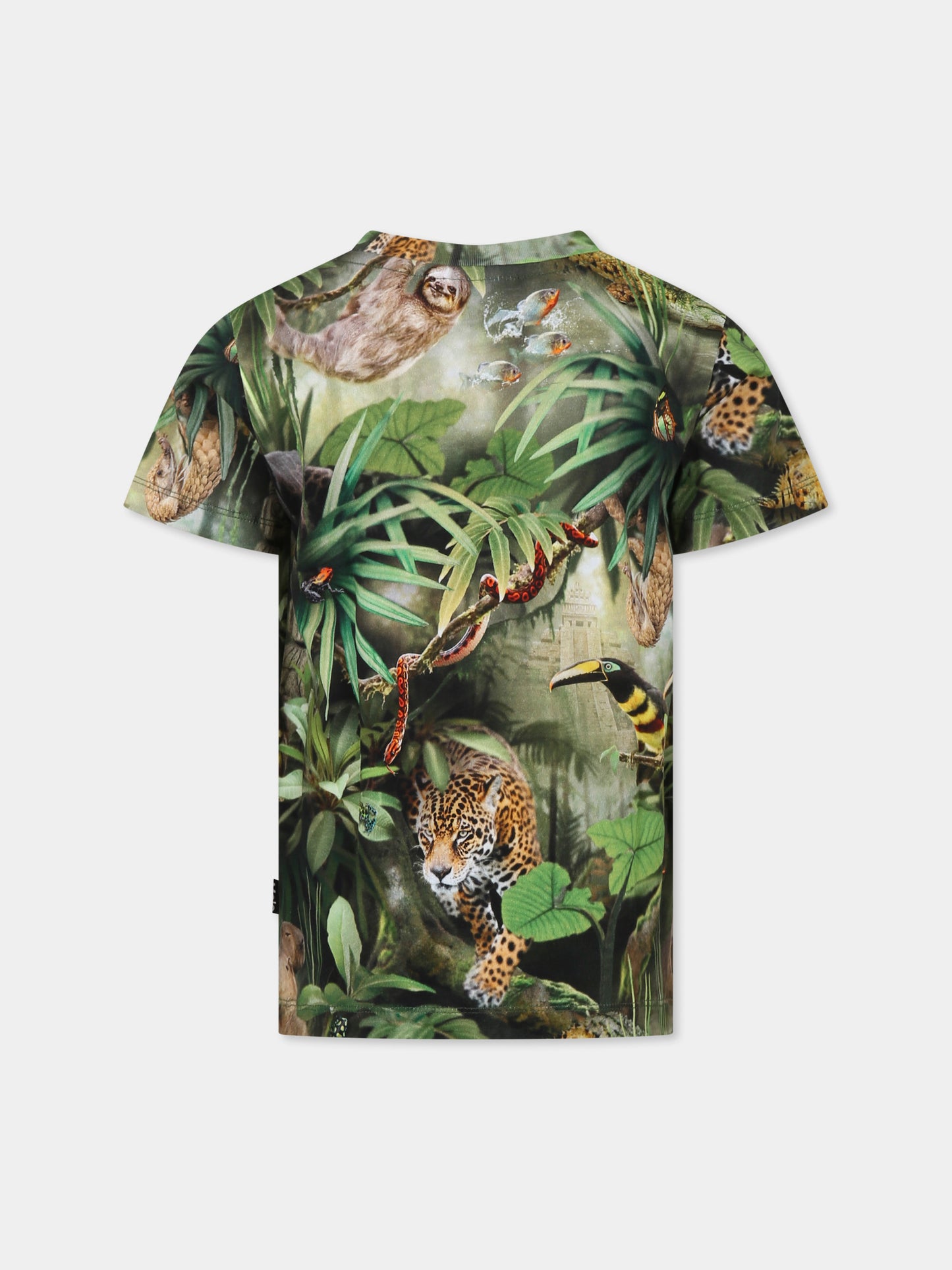 T-shirt Ralphie verde per bambino con animali della giungla,Molo,1S25A208 9290