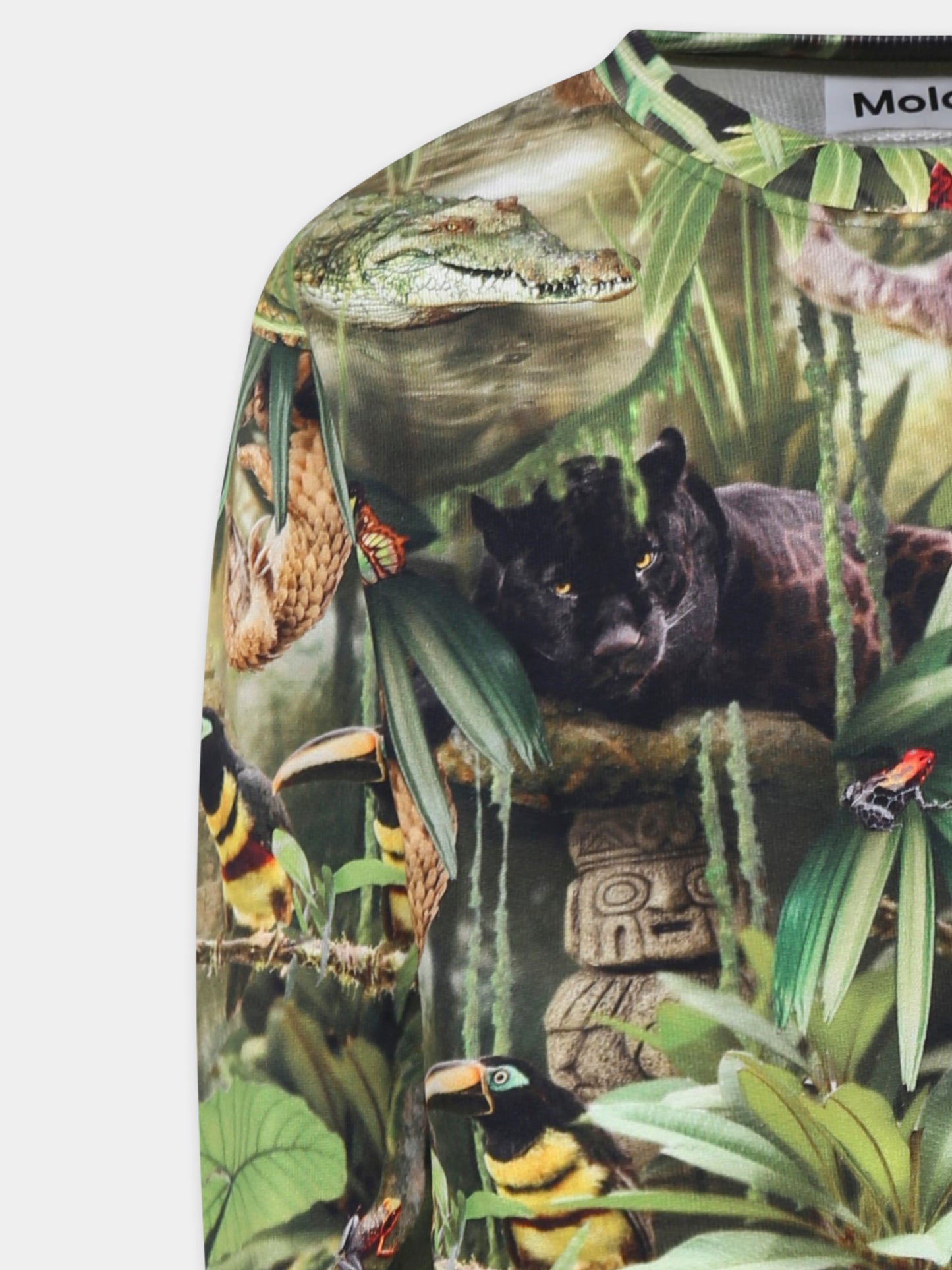 Felpa Mattis verde per bambino con animali della giungla,Molo,1S25J201 9290