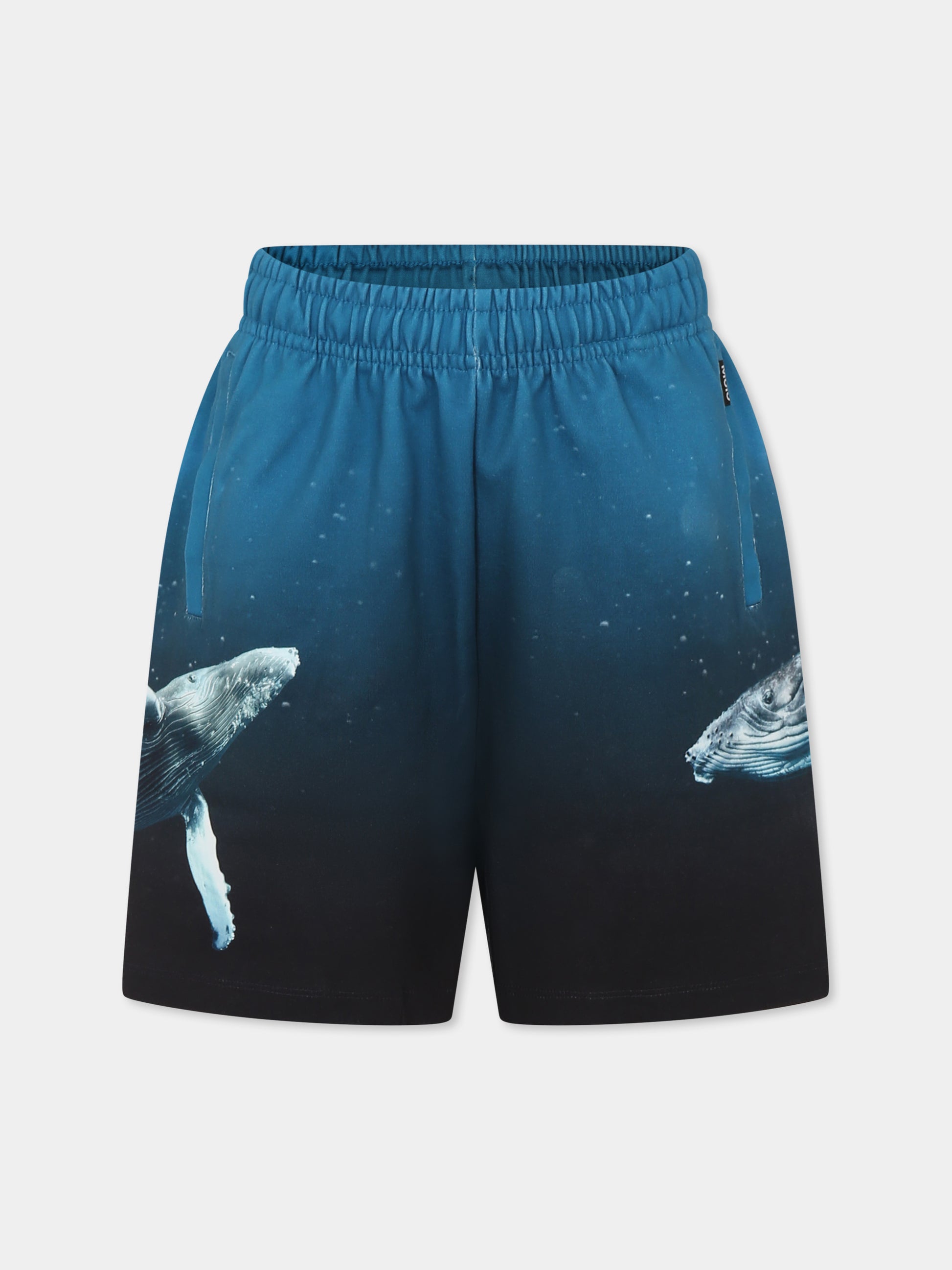 Shorts Amil azzurri per bambino con balena,Molo,1S25H207 3871